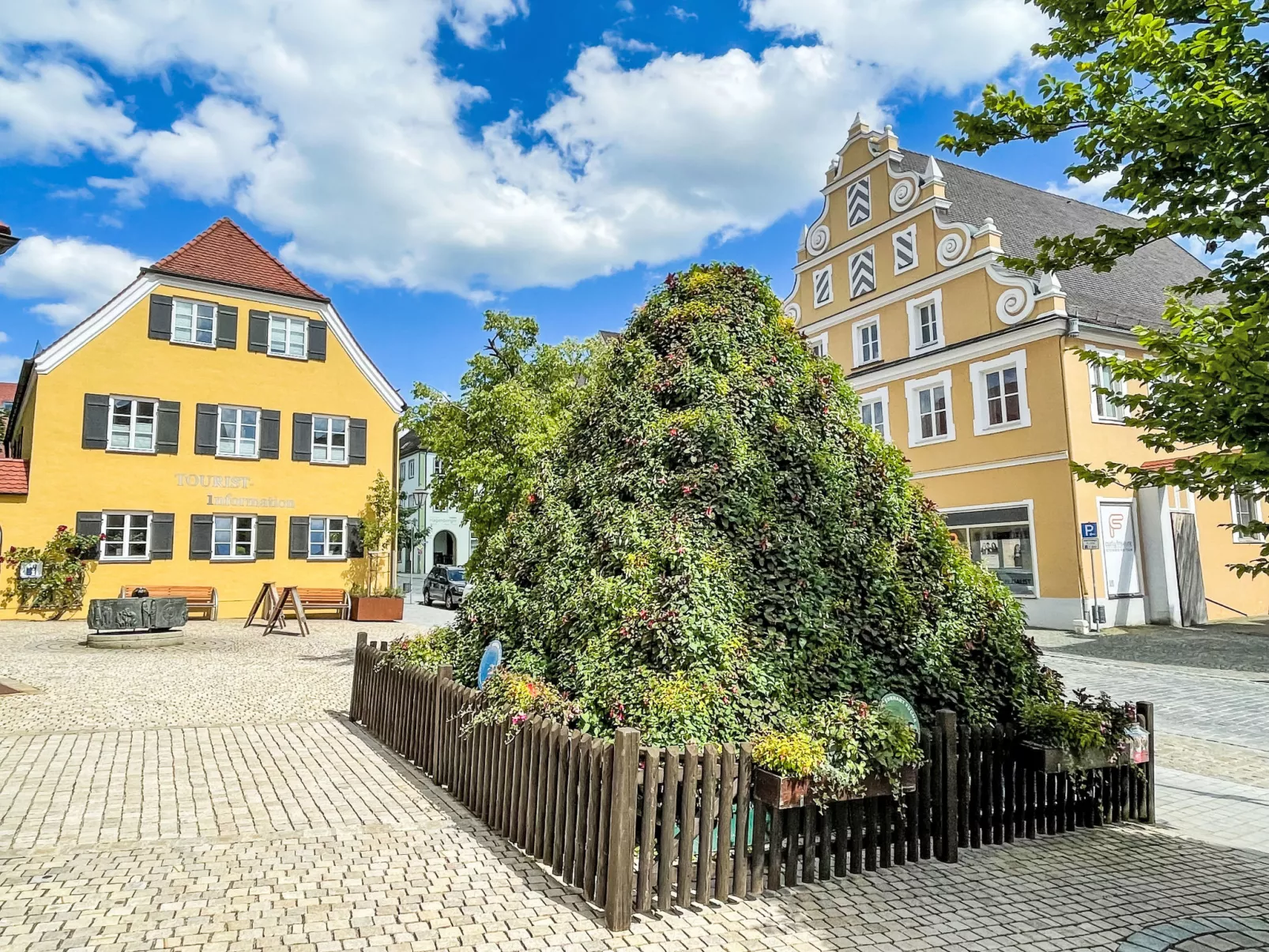 Tiny Haus Neschtle-Omgeving