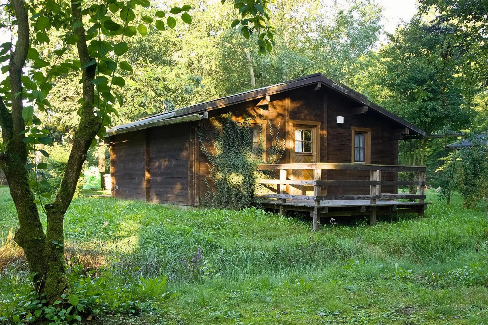 Typ C Haus 363 364 361 362-Buitenkant zomer