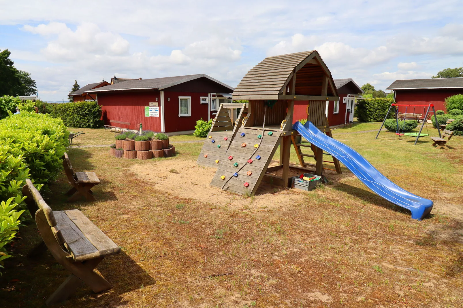 gardensummer