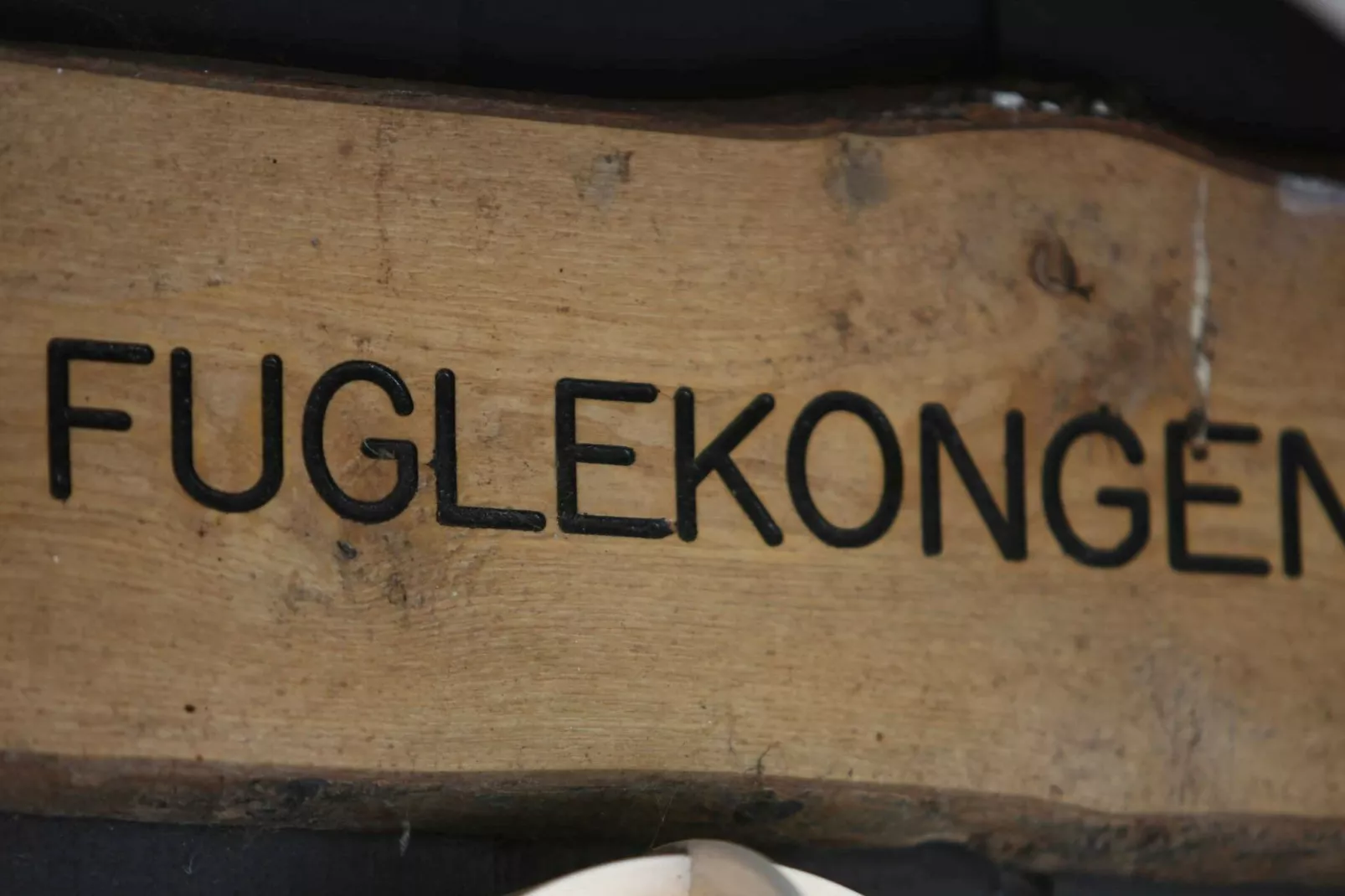 FUGLEKONGEN-Niet-getagd