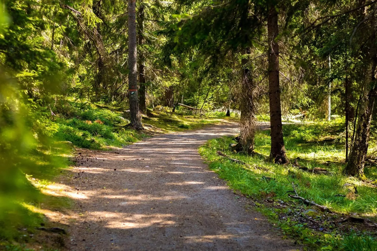 4 sterren vakantie huis in HJORTKVARN-By Traum