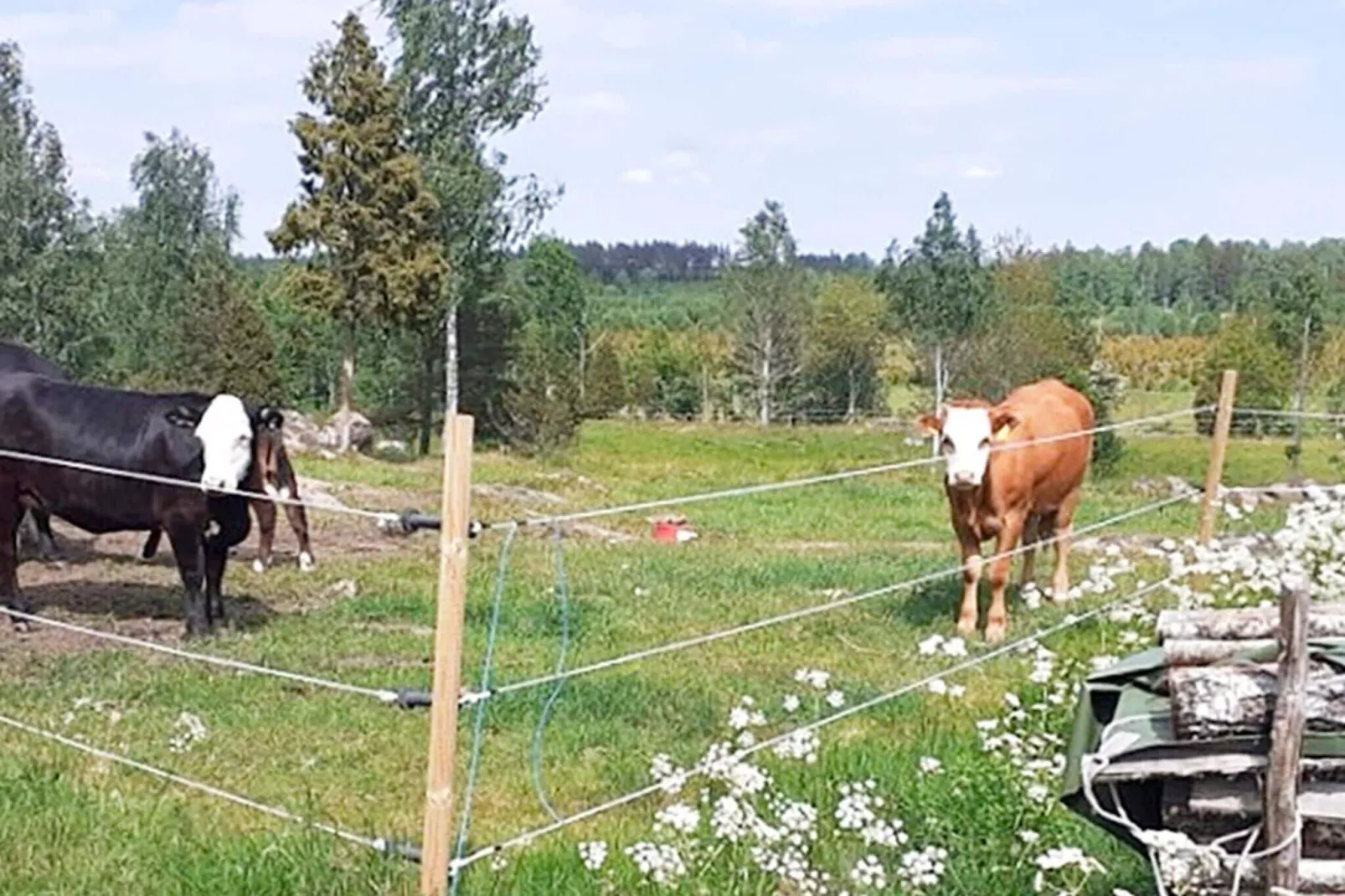 8 persoons vakantie huis in HULTSFRED-By Traum-Buitenlucht