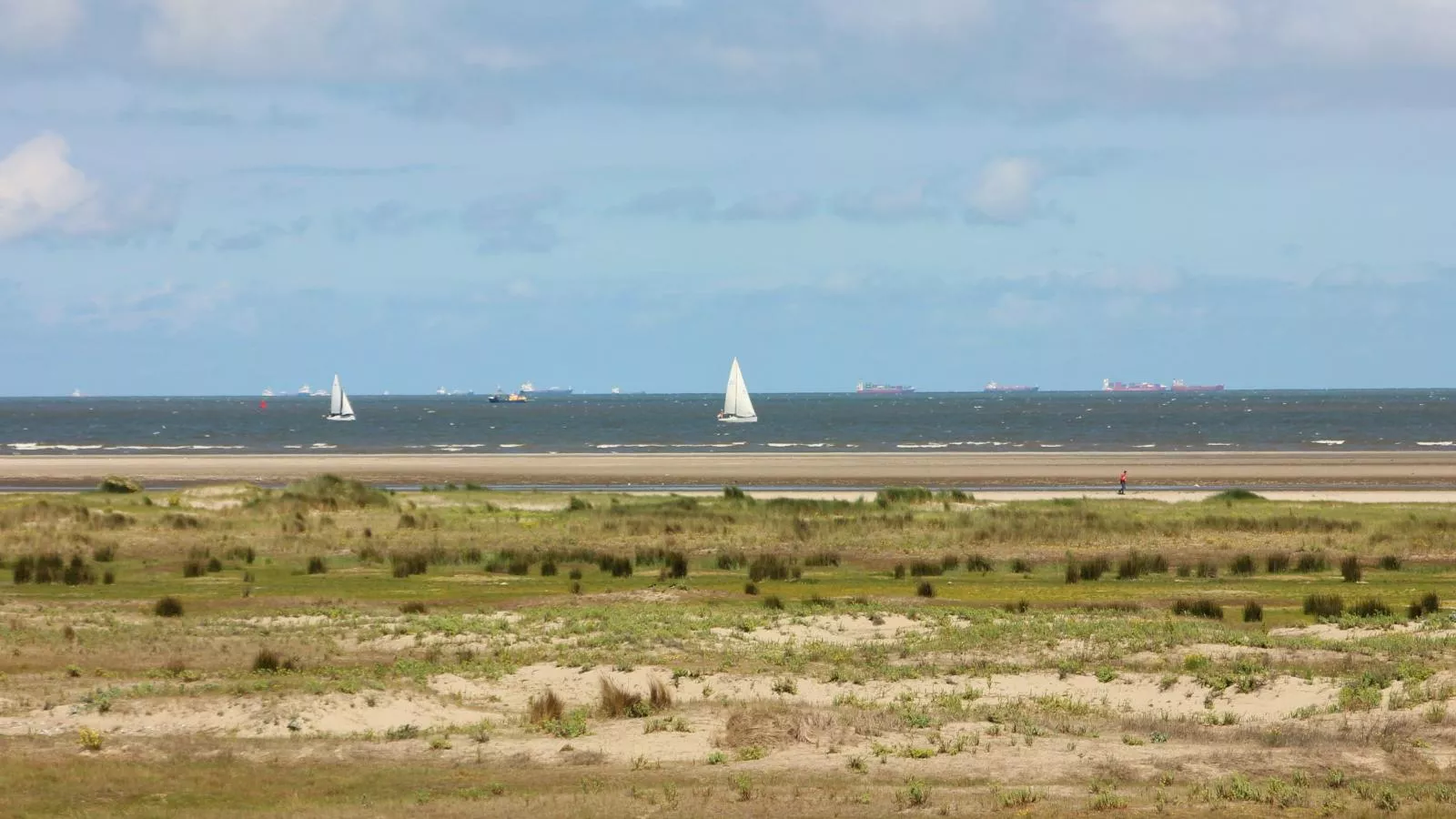 Tiny House Jet-Gebieden zomer 5km