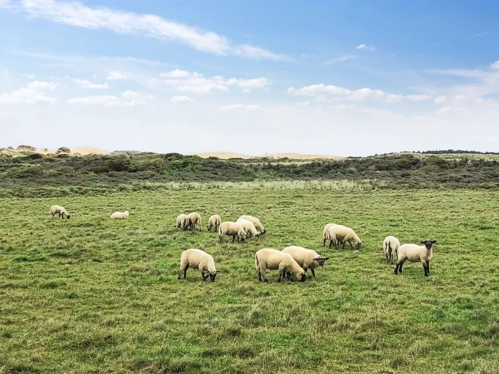 "Skyler" - 400m from the sea-Buiten