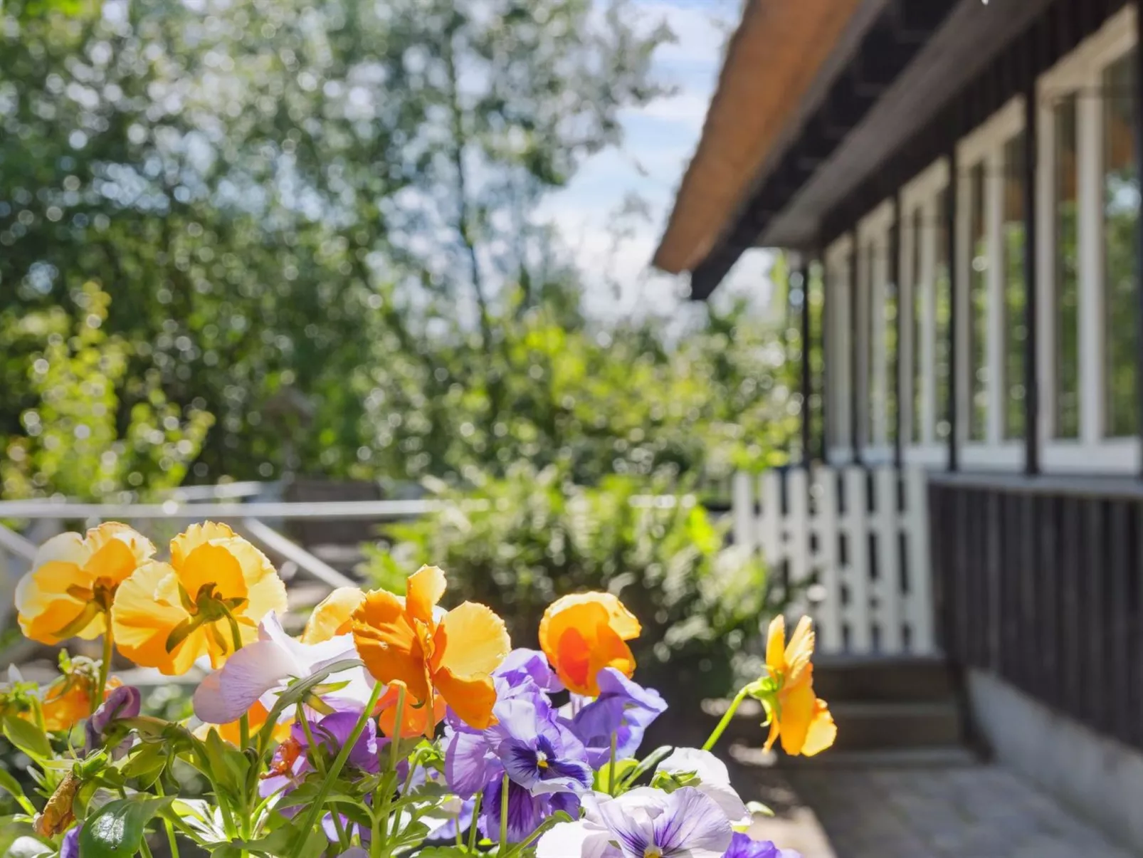 "Nanya" - 700m from the sea-Buiten