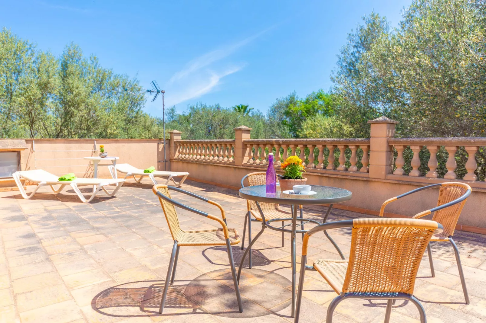 Pleta De Son Monjo-Terrasbalkon