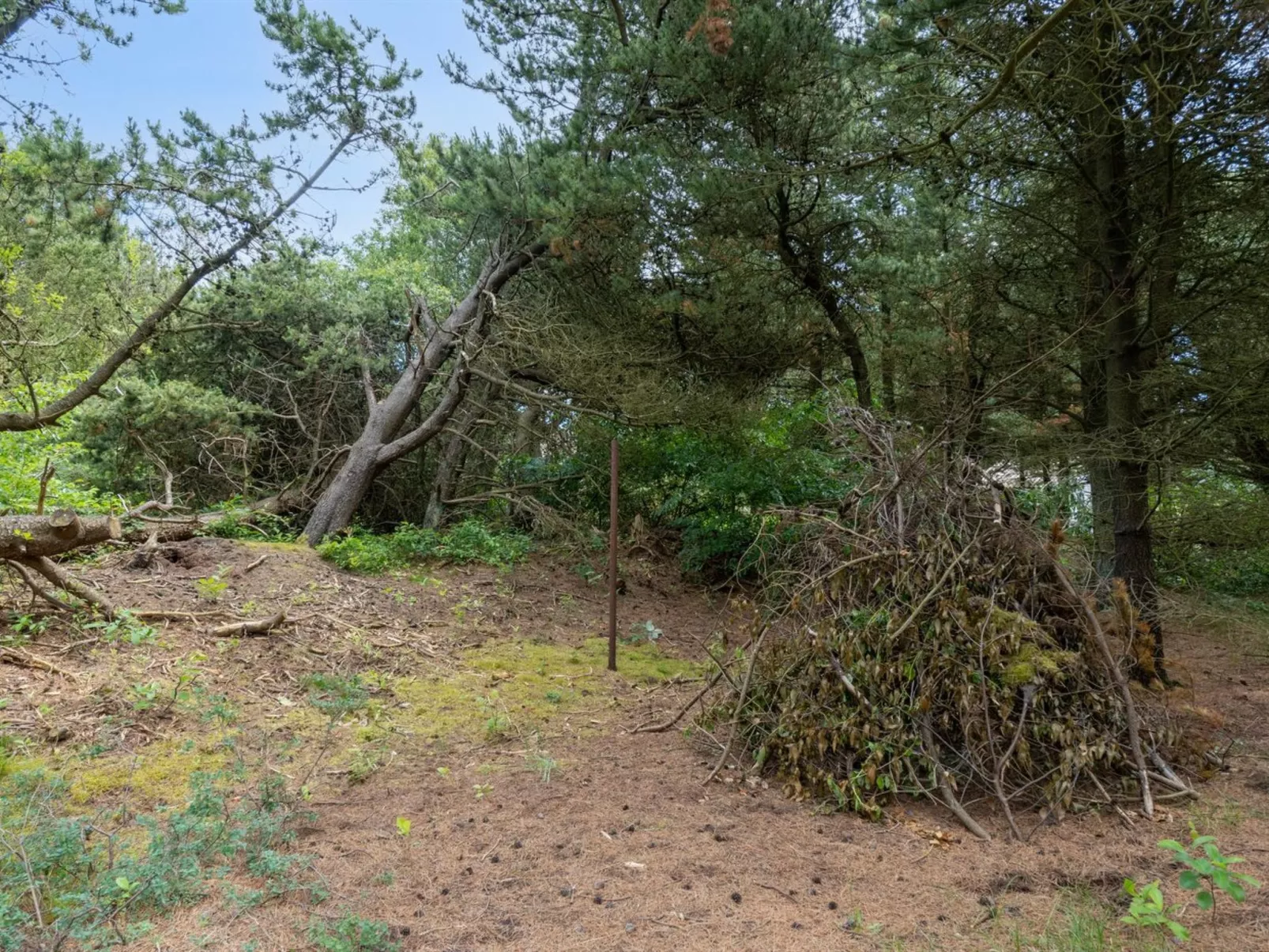 "Magga" - 3.2km from the sea-Buiten