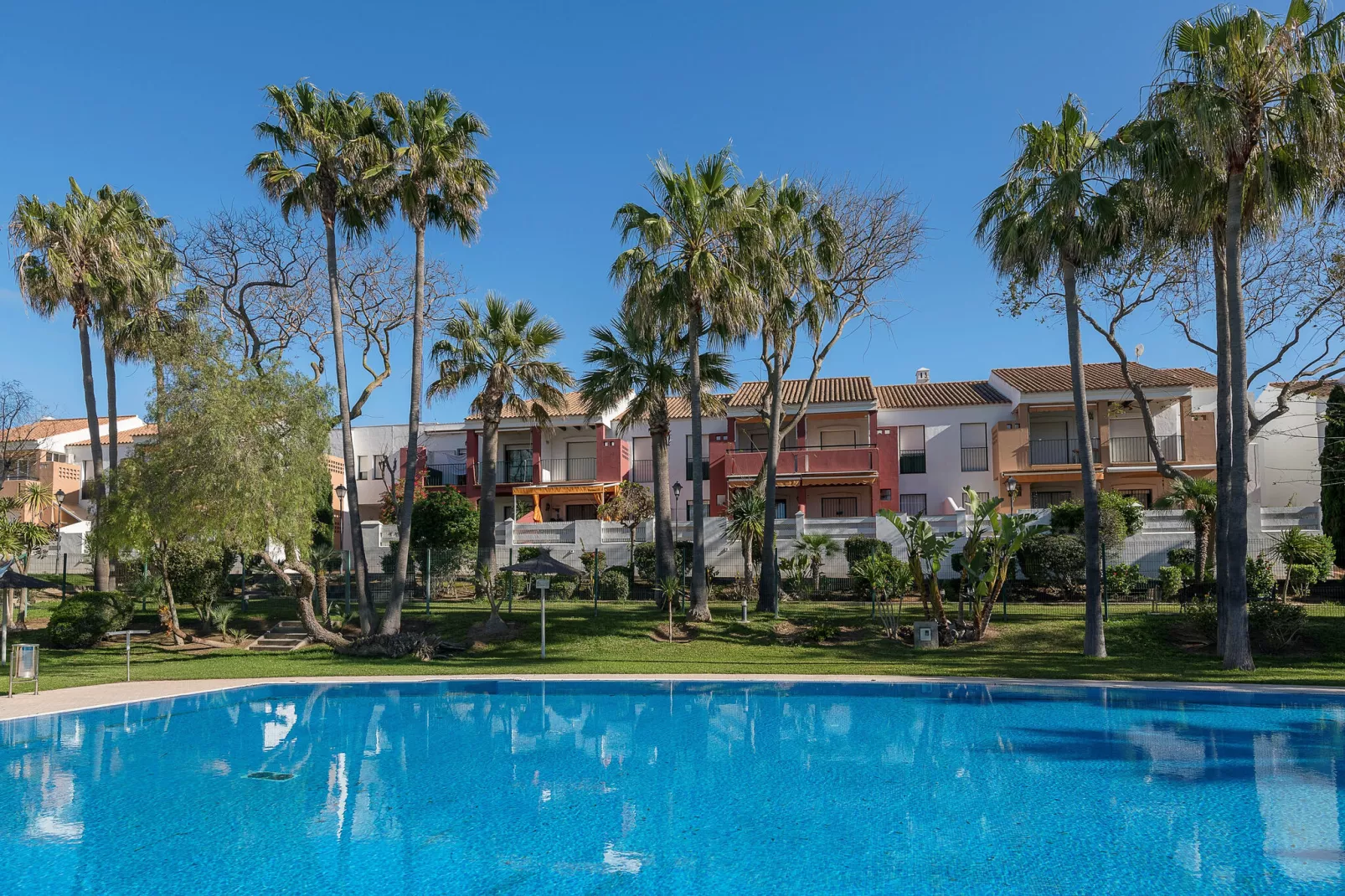 Oasis Playero
