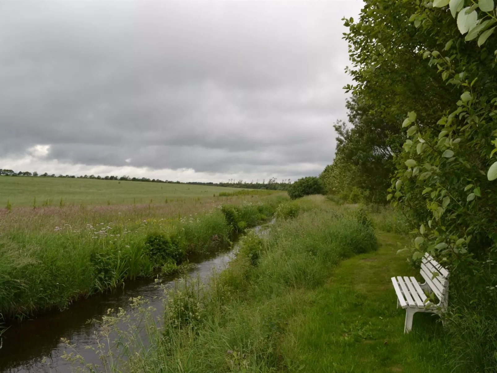 "Saran" - 30km from the sea-Buiten