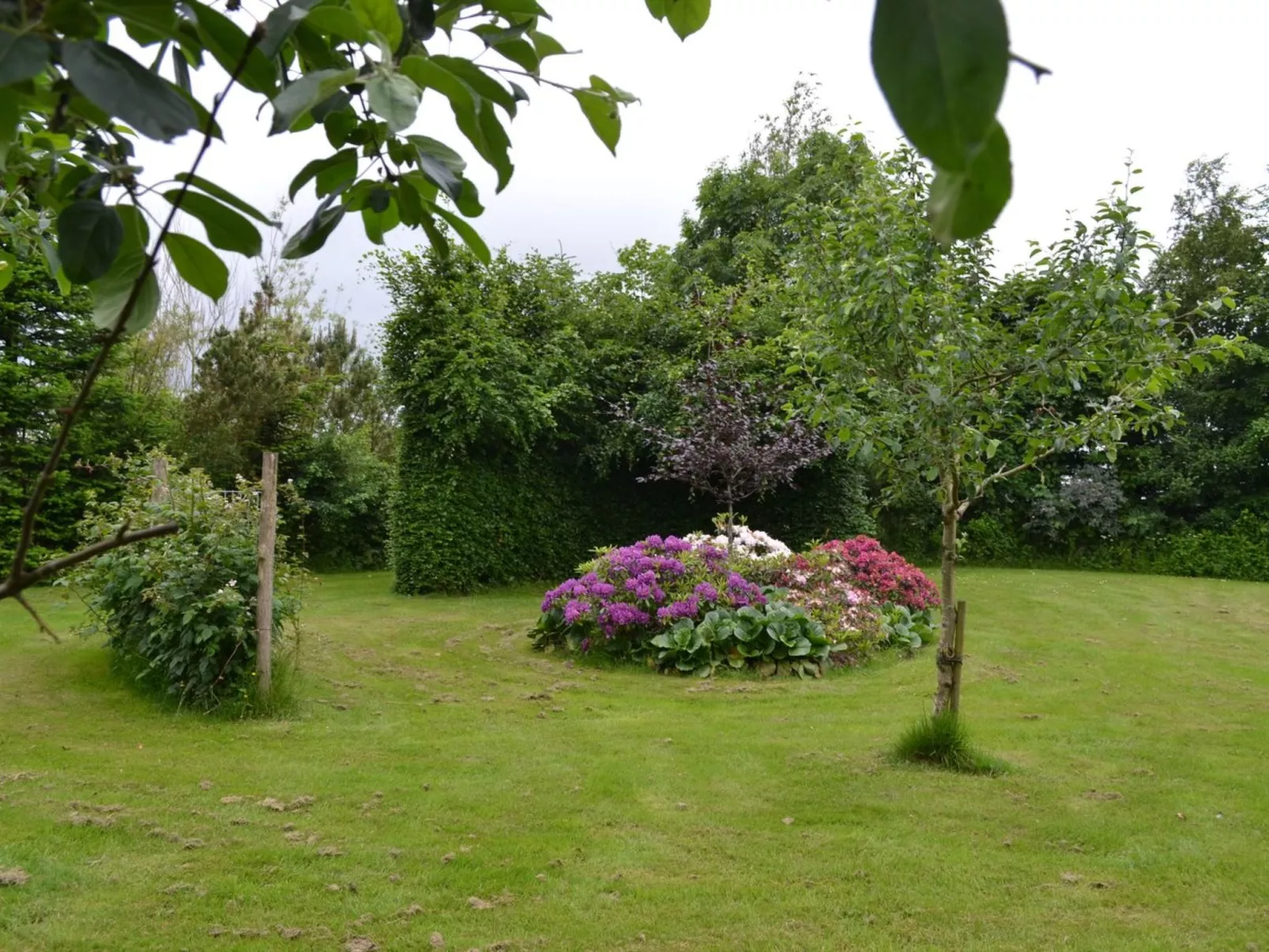 "Saran" - 30km from the sea-Buiten