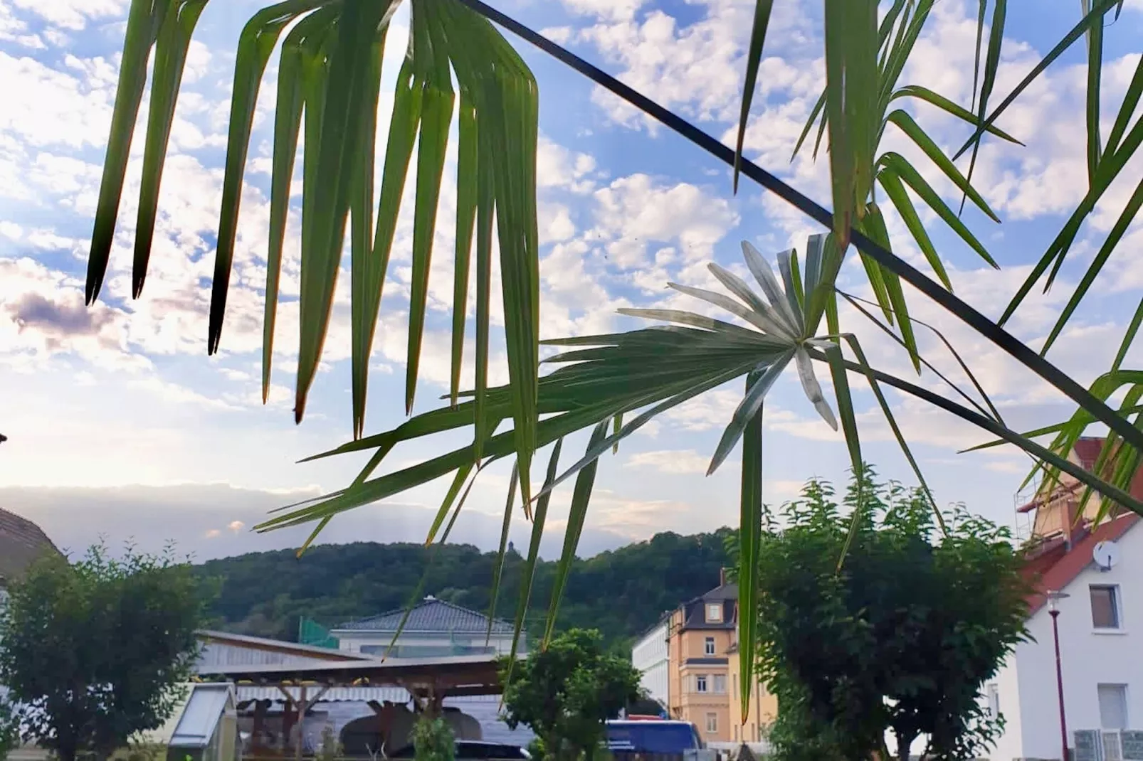 Ferienwohnung Freital-Dresden-Uitzicht zomer