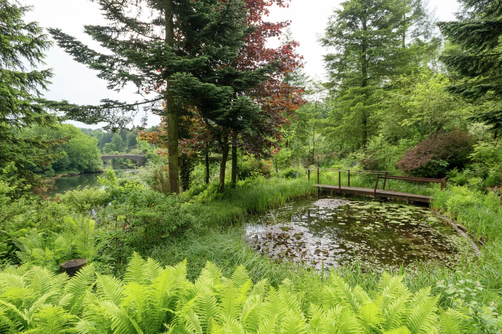 Le Jardin des Eaux - Tuinen zomer