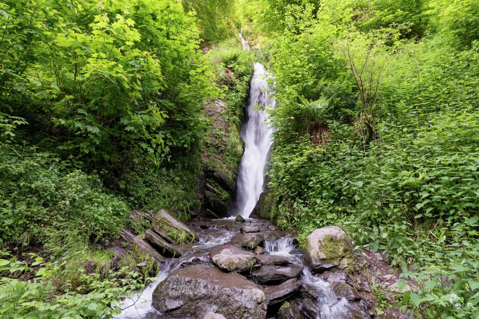 Le Jardin des Eaux - Gebieden zomer 5km
