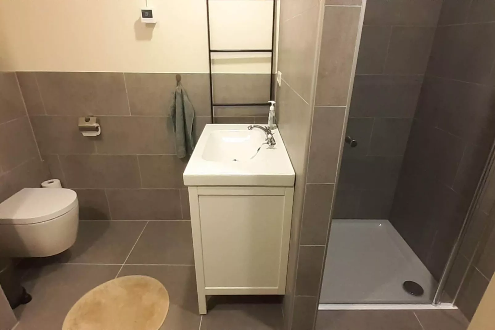 Vakantiehuis "De Schuur"-Badkamer