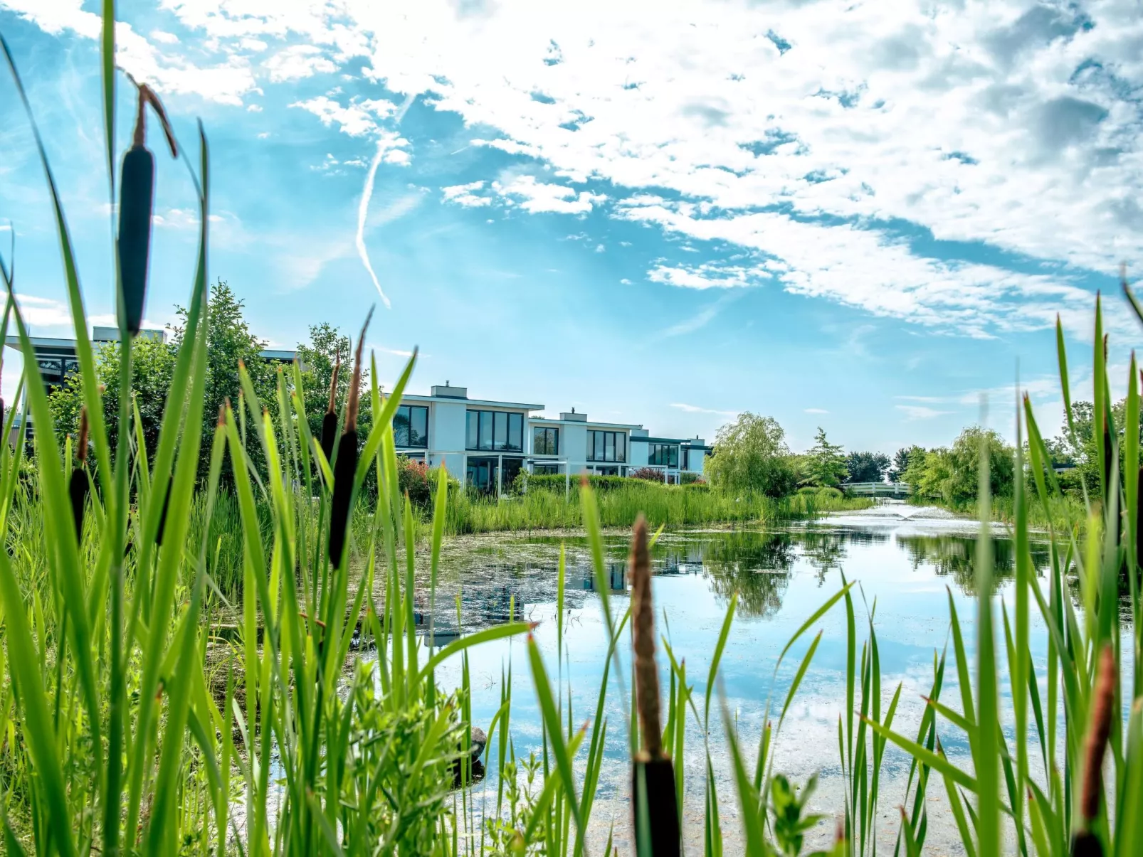 Cube Exclusif 6-Omgeving