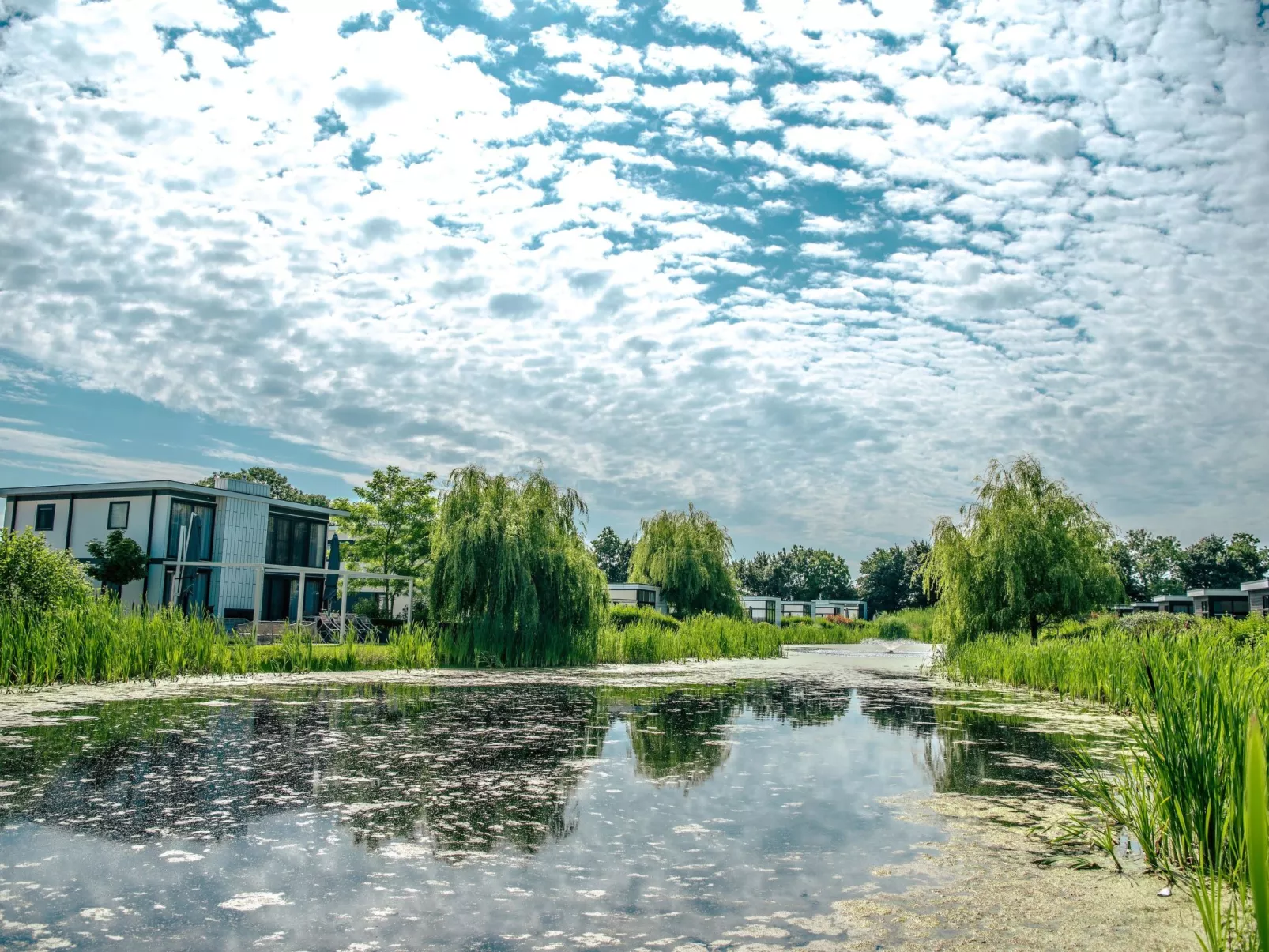 Cube Exclusif 6-Buiten