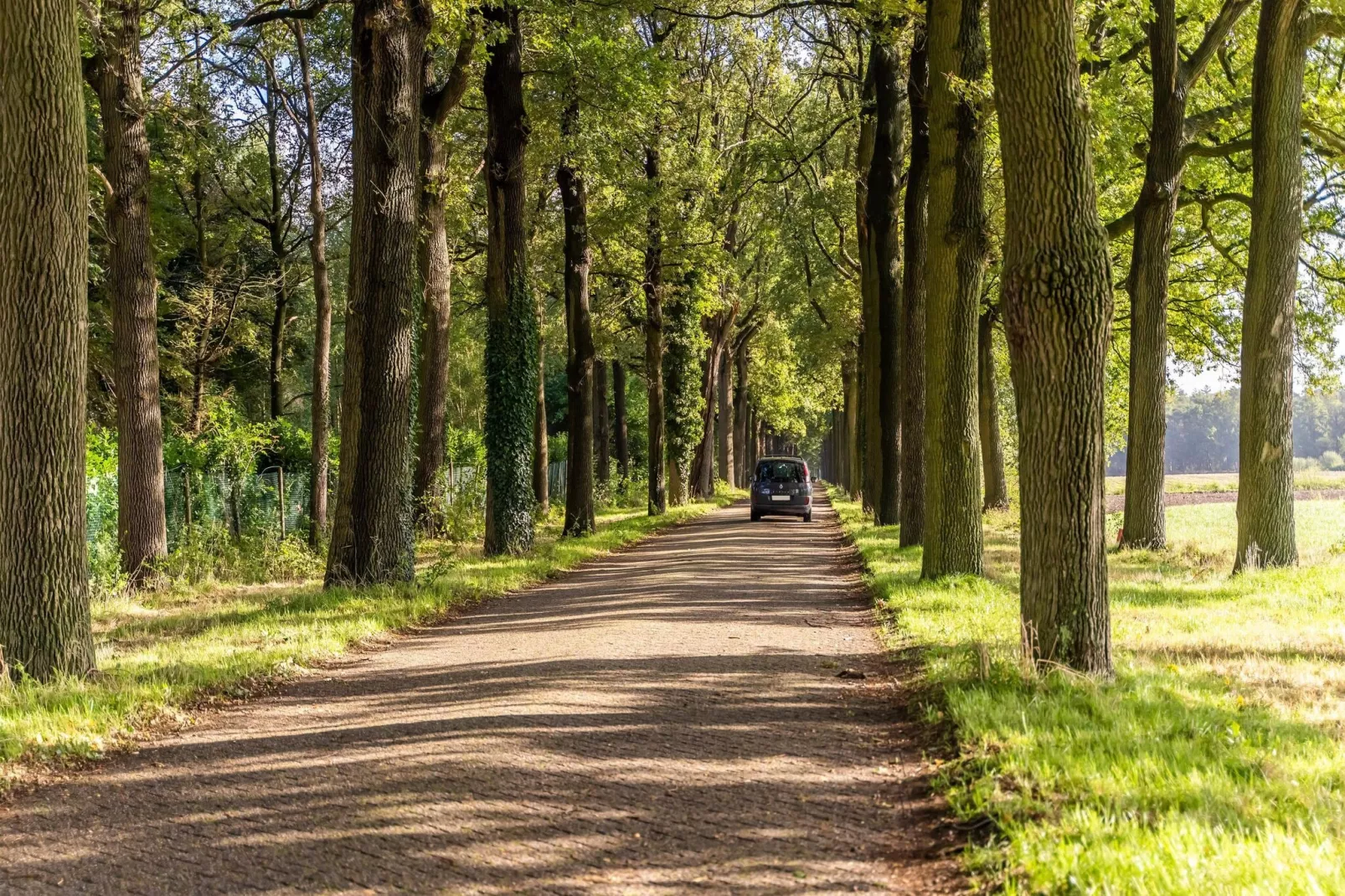 De Kolonist-Gebieden zomer 1km