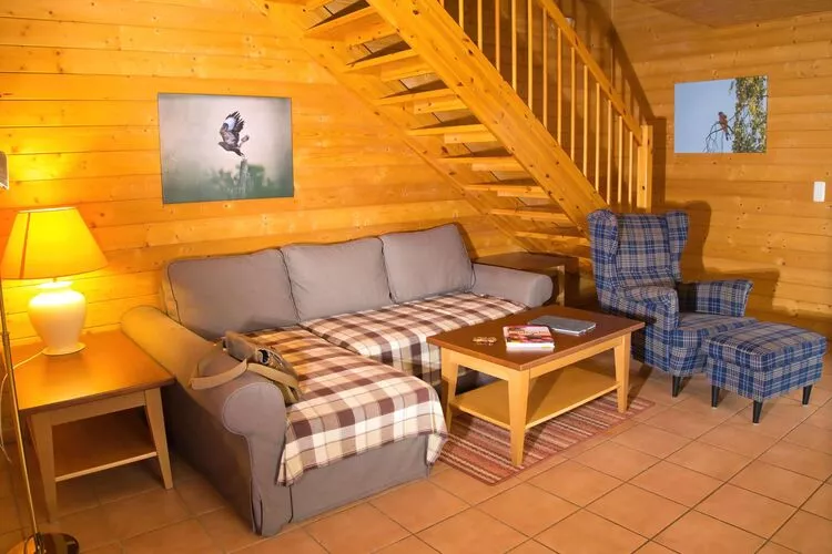 Ferienhaus in Hasselfelde - Haus 502 Auerhahn-Woonkamer