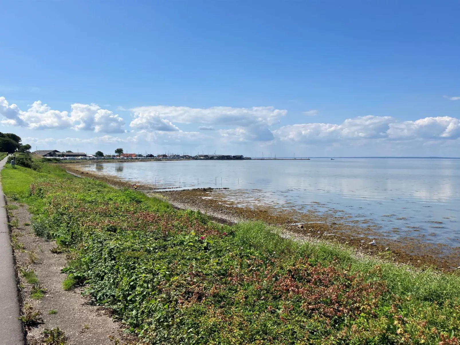 "Reinmoth" - 100m from the sea-Buiten