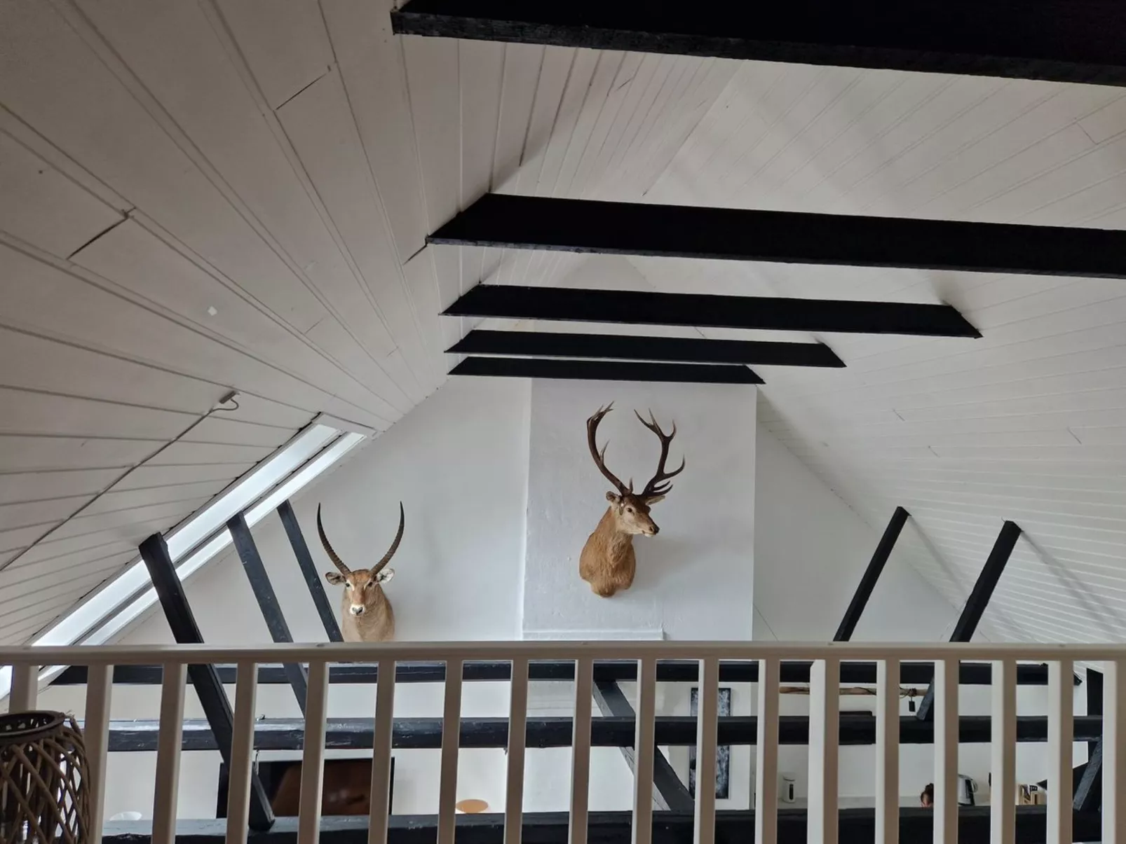 "Thorgot" - 3km from the sea-Buiten