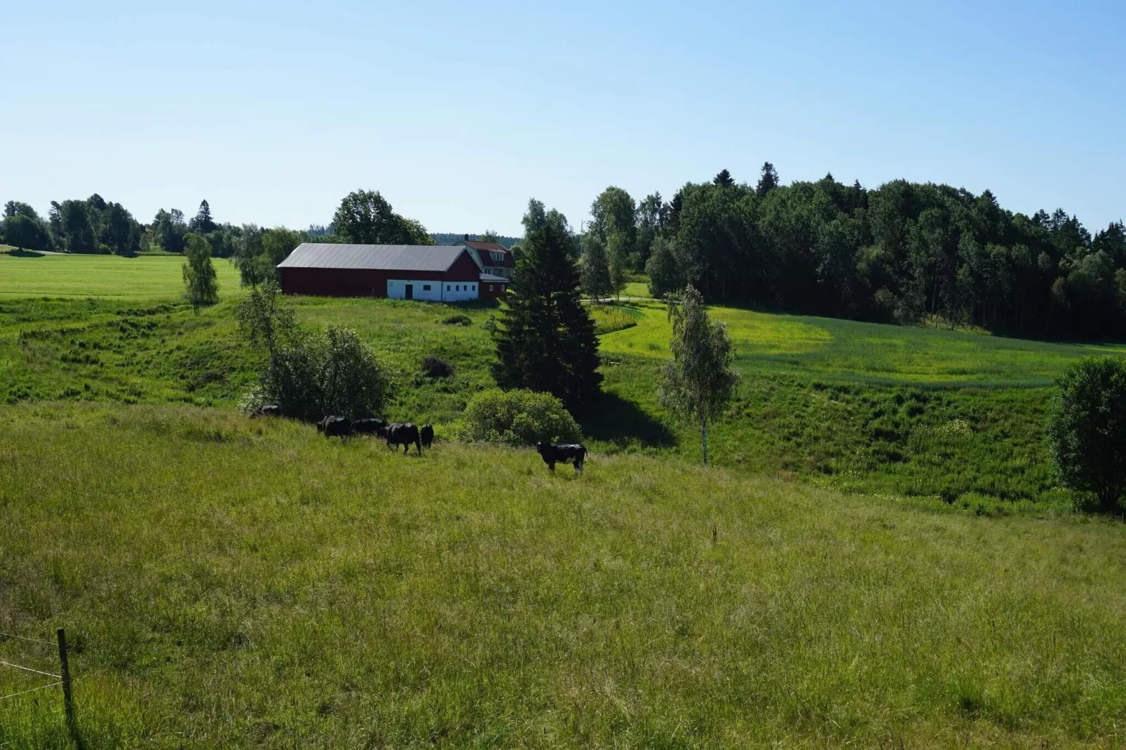 5 persoons vakantie huis in Hedekas-Buitenlucht