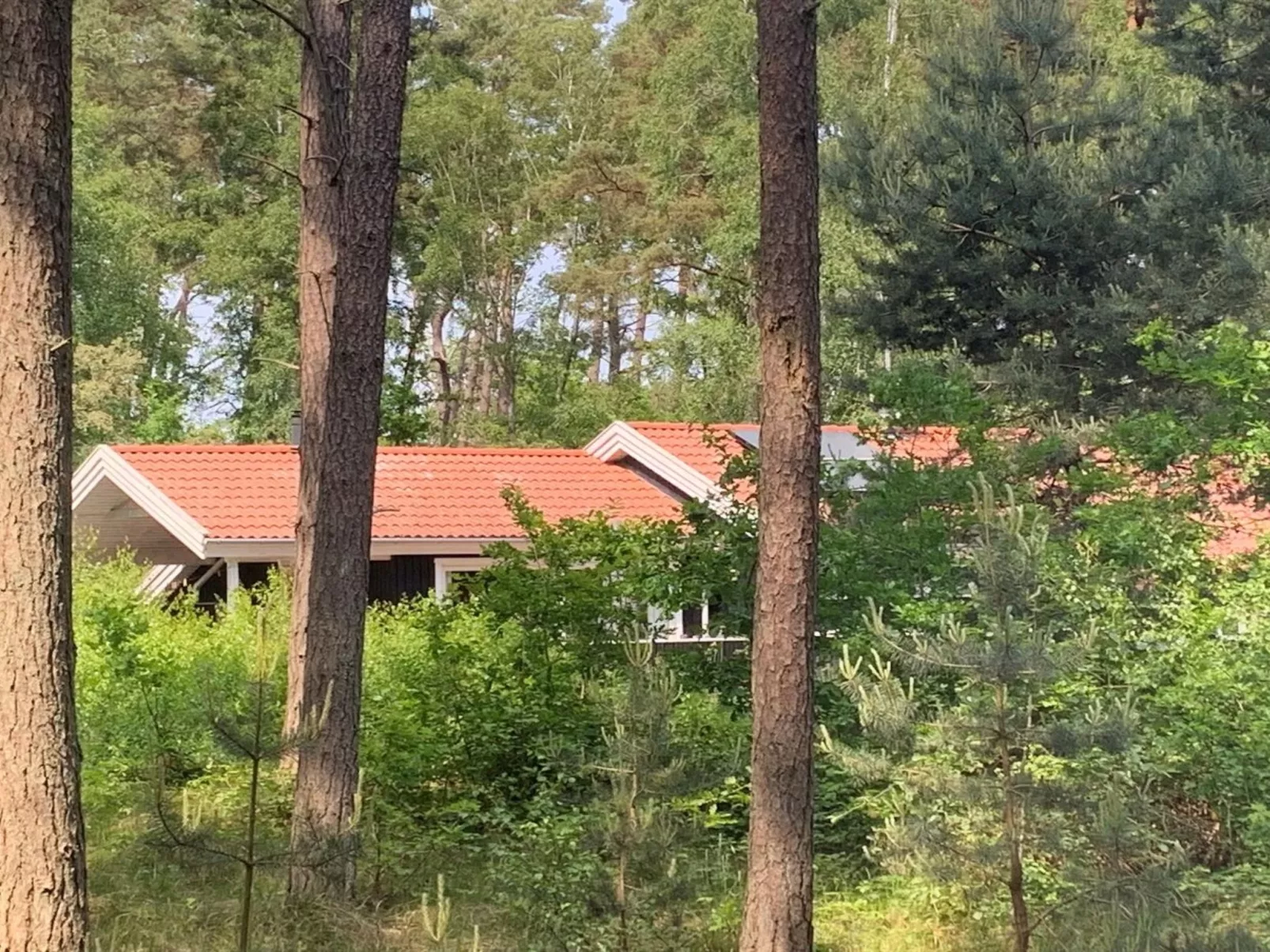 "Nea" - 600m from the sea-Buiten