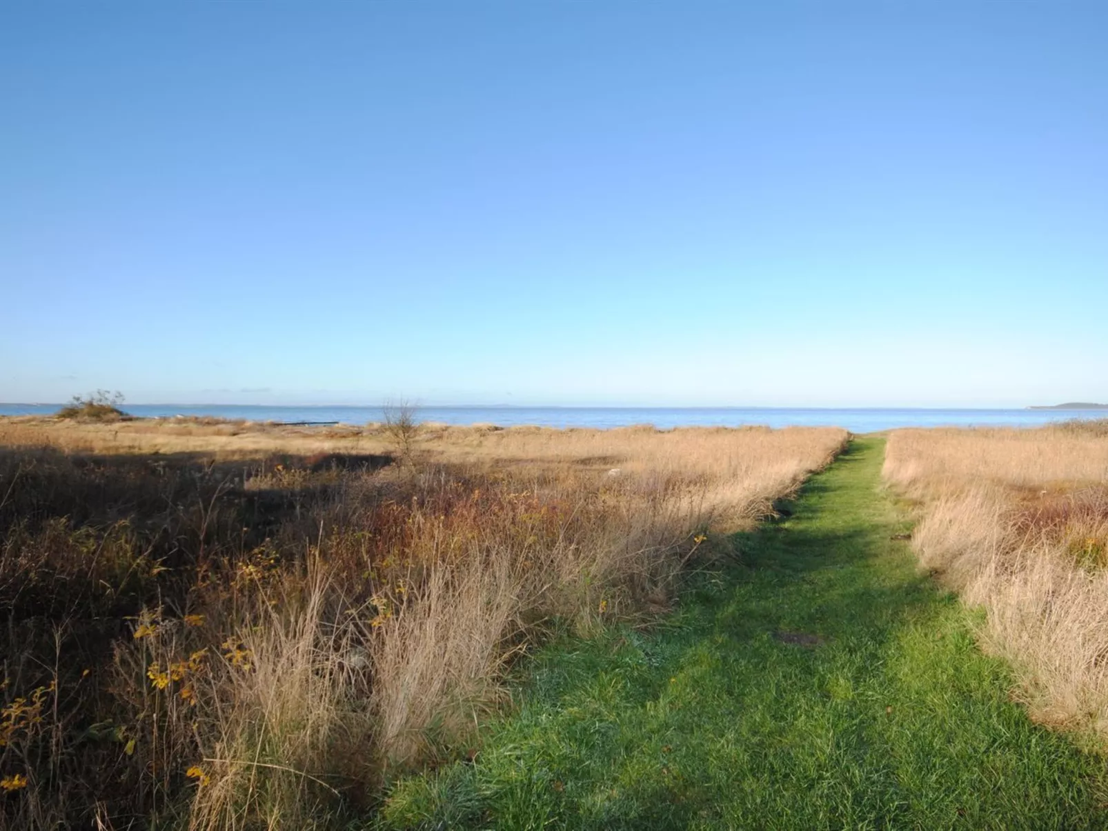 "Elis" - 90m to the inlet-Buiten