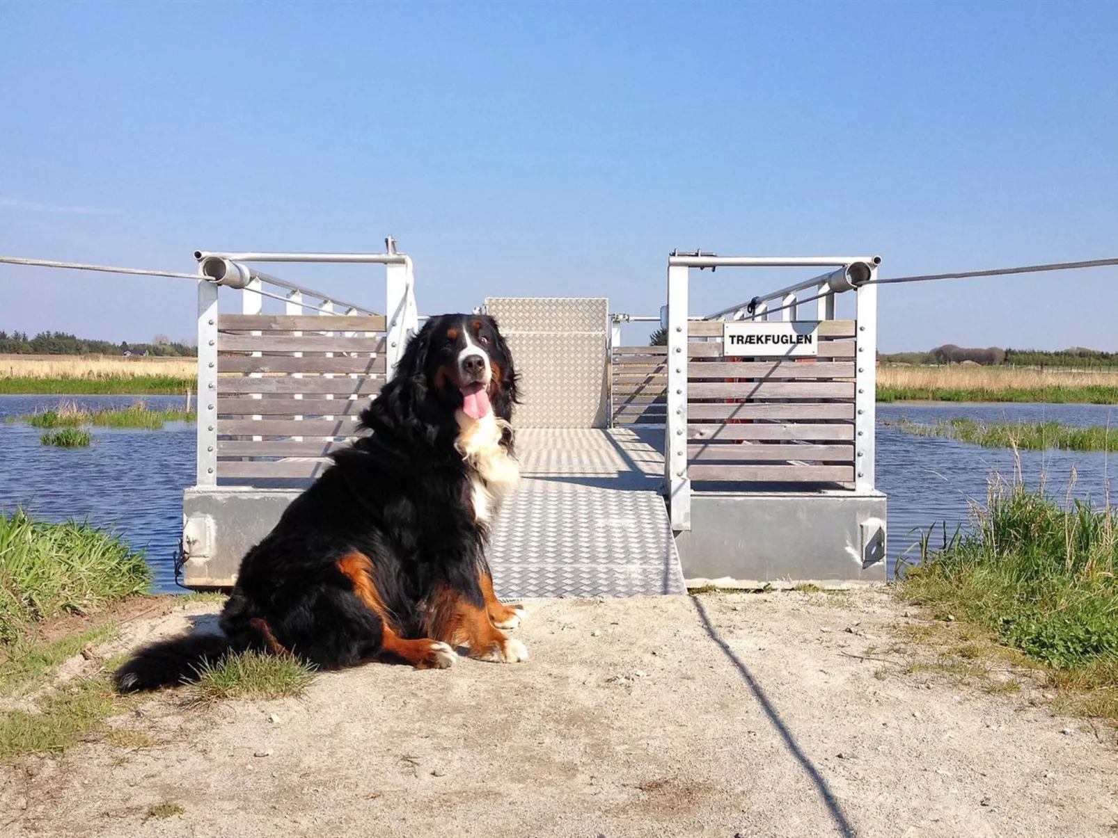 "Elis" - 90m to the inlet-Buiten