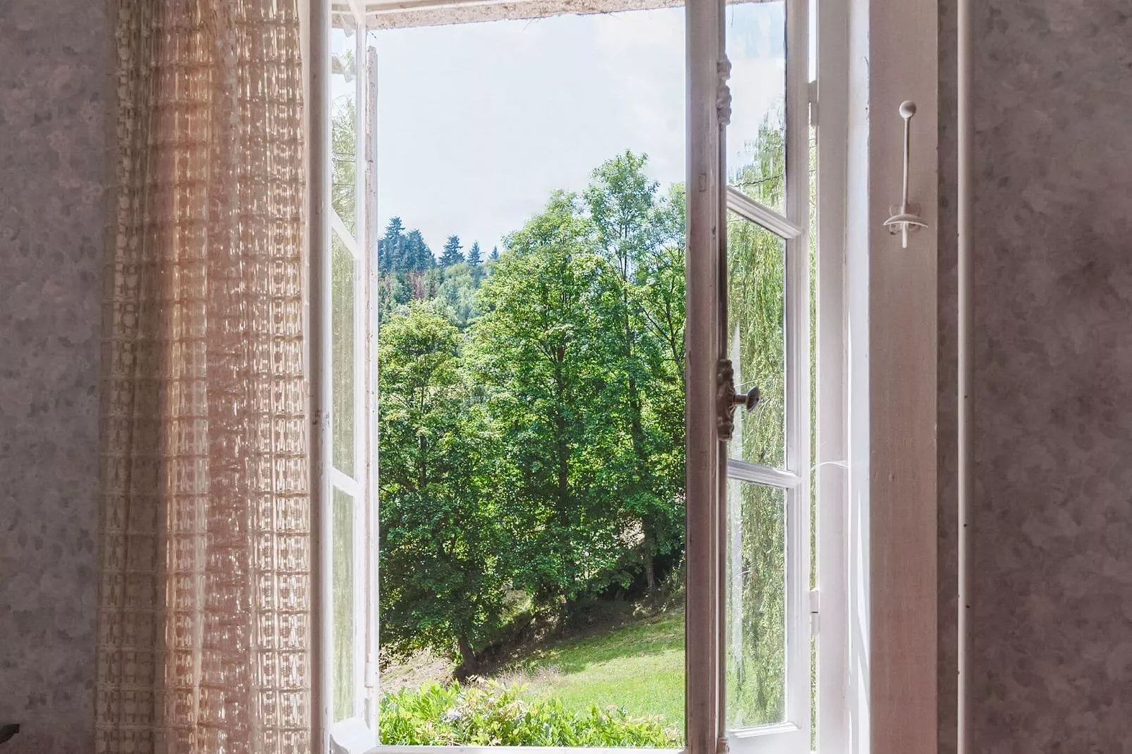 Maison de vacances - Soleymieux-Uitzicht zomer