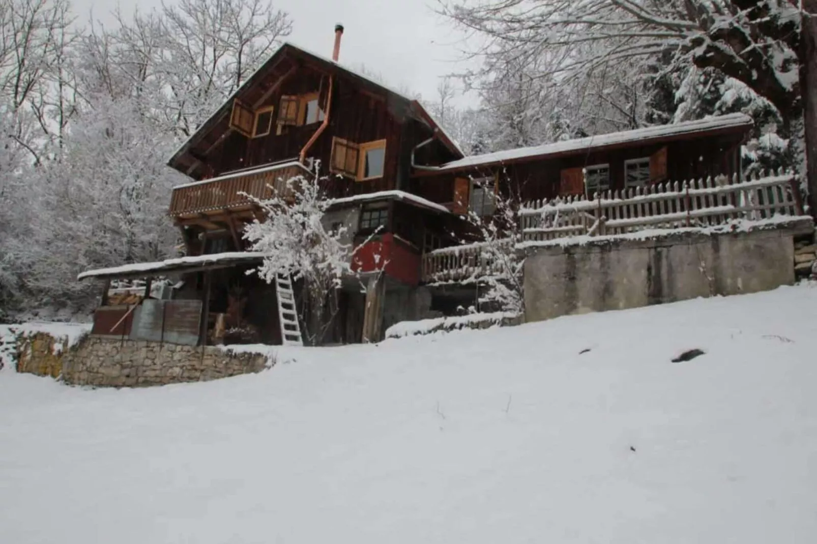 Heidi Chalet-Exterieur winter