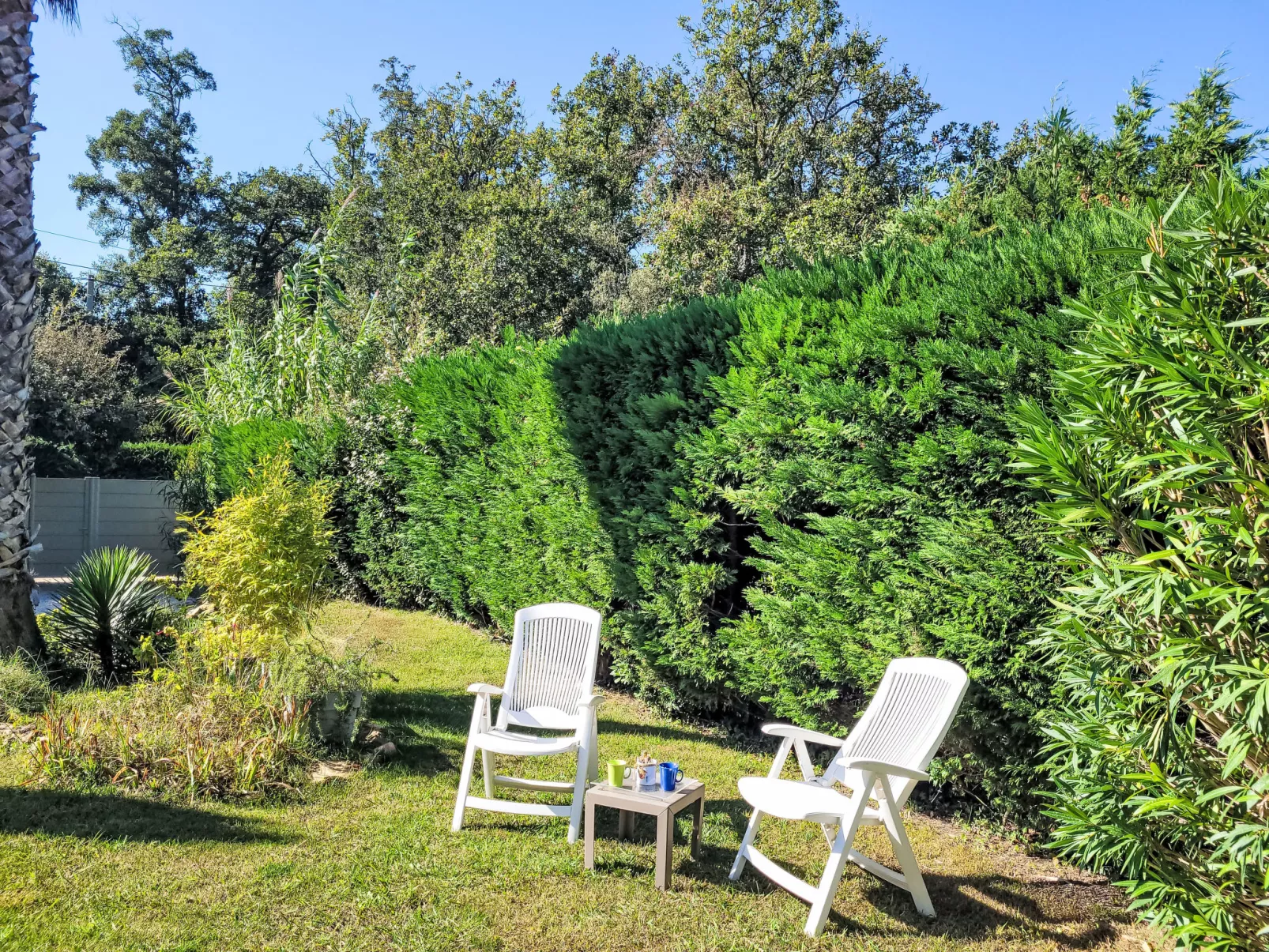 Le Mimosa St Laurent-Buiten