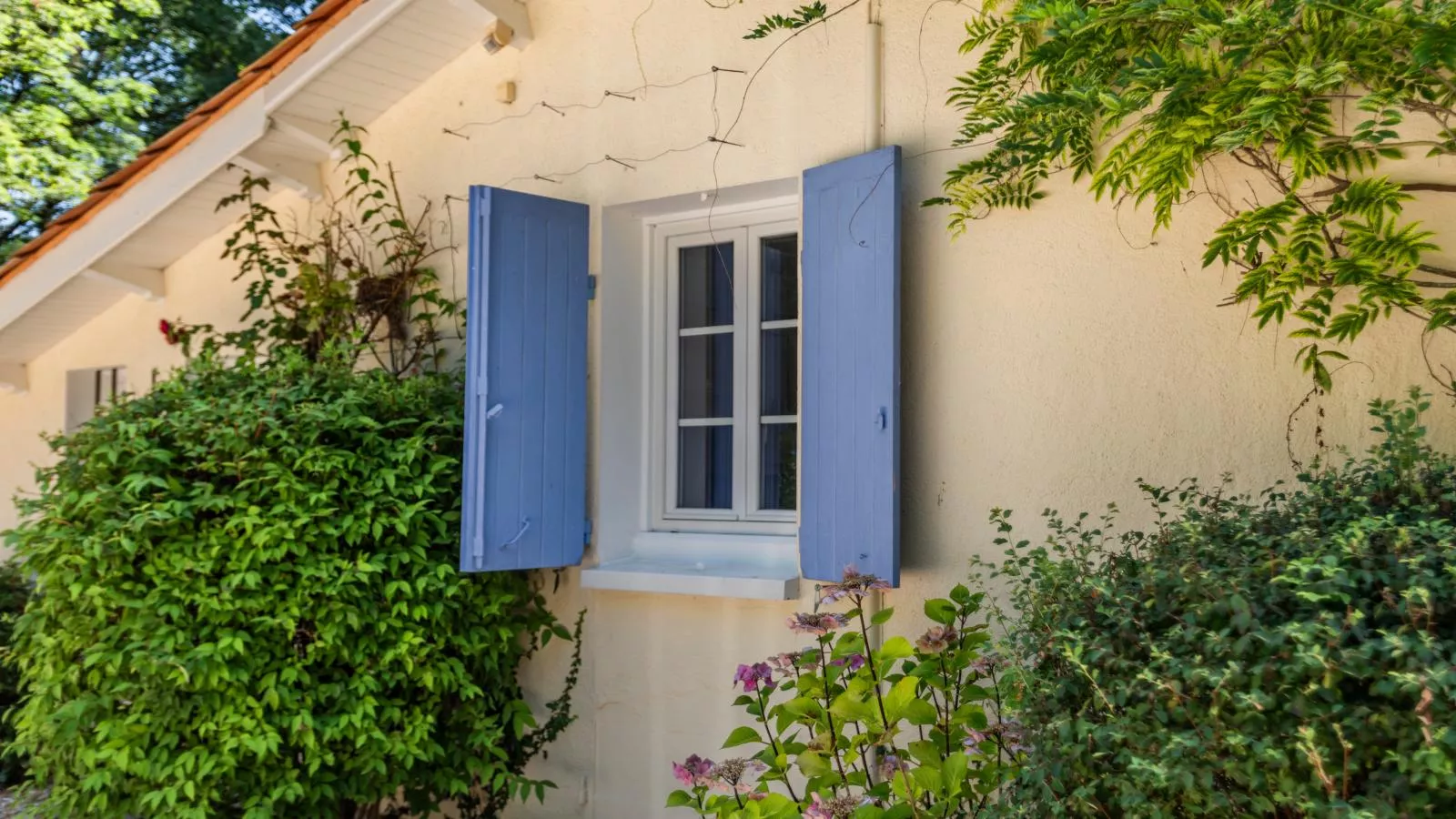 La Maison sur la Colline-Buitenkant zomer