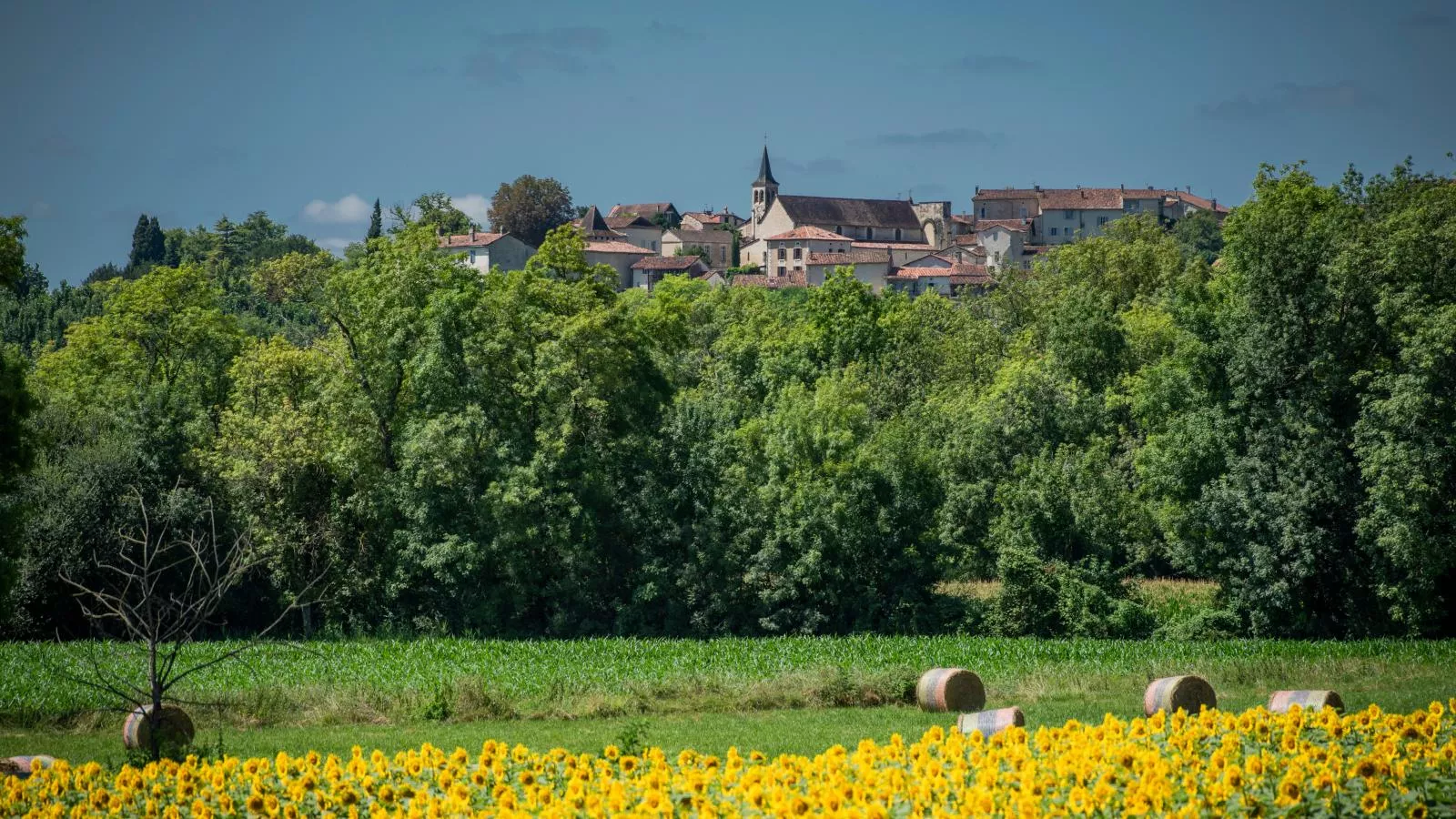 La Maison sur la Colline-Uitzicht zomer