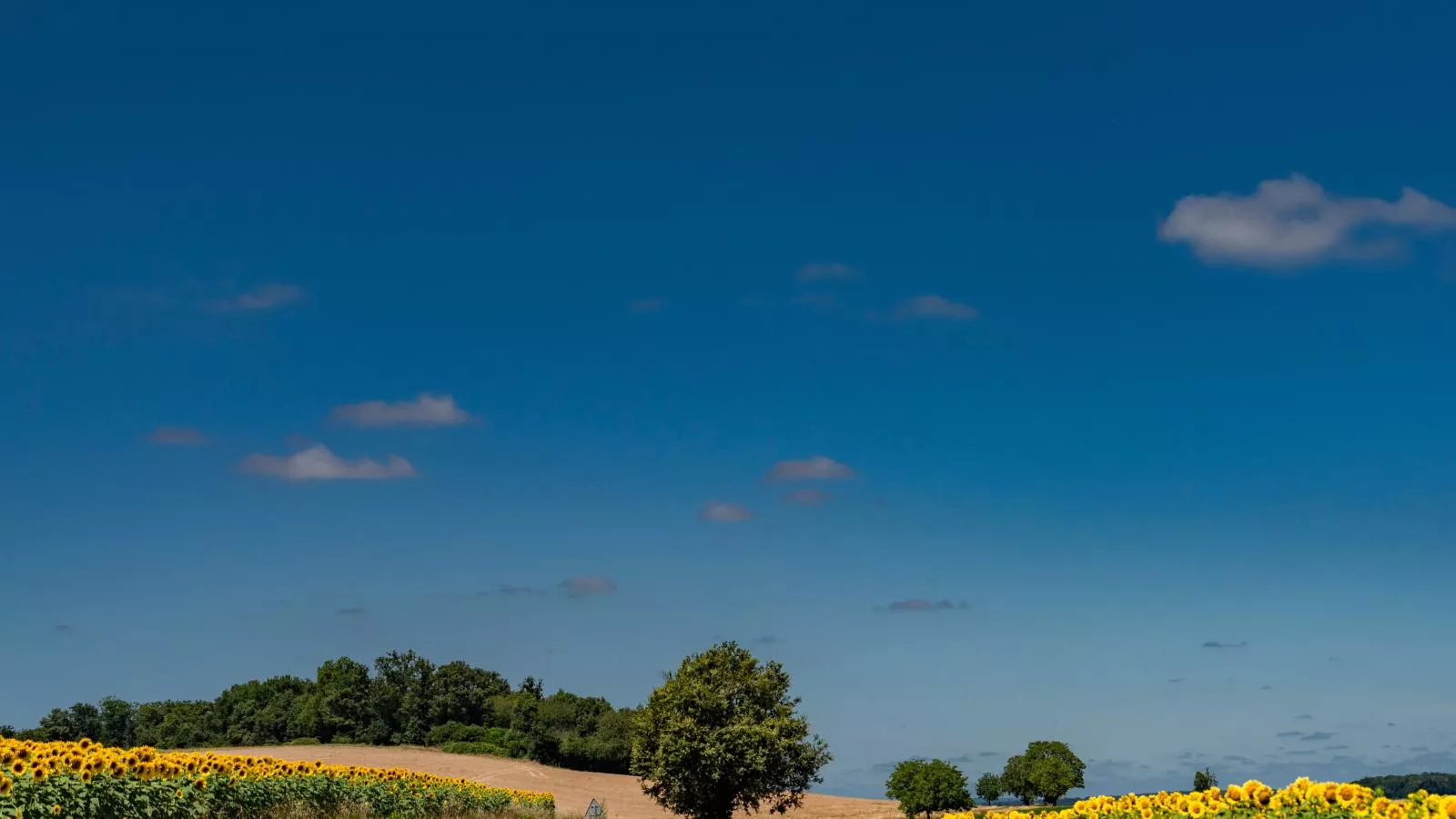 La Maison sur la Colline-Gebieden zomer 5km