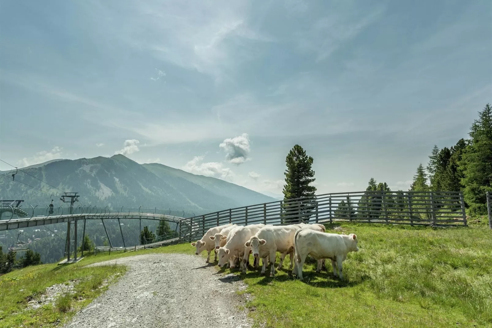 Alpenpark Turrach App 7-Faciliteiten