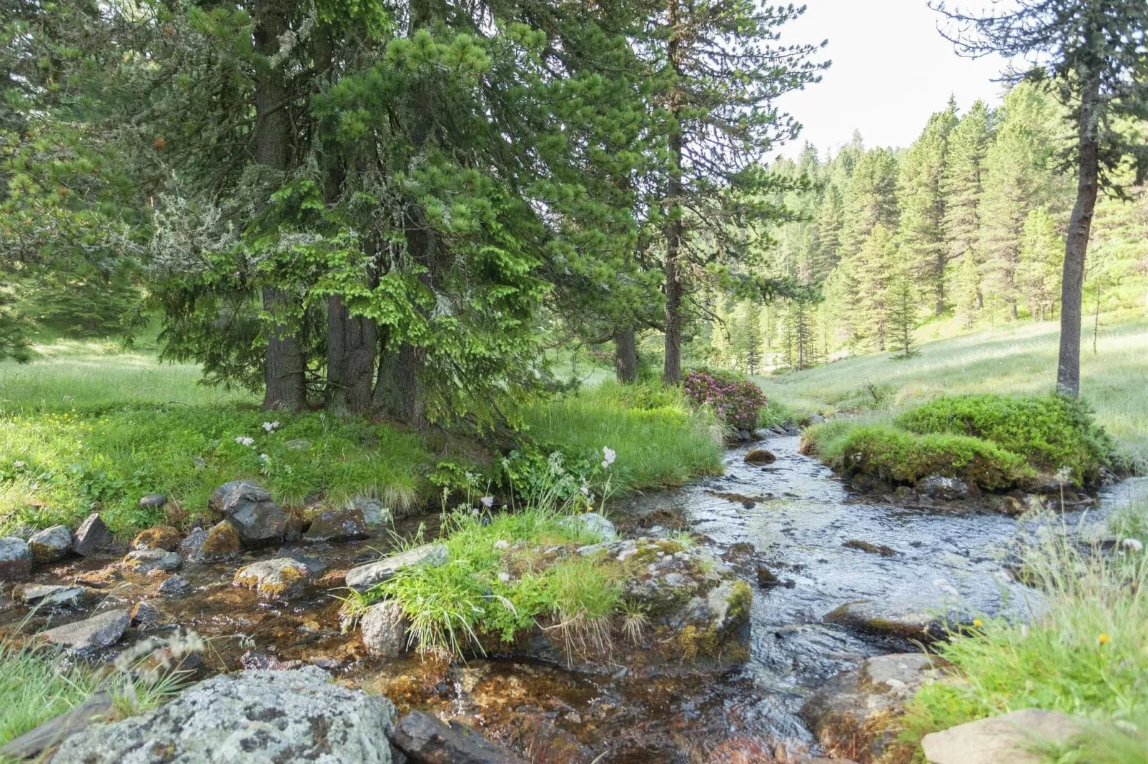 Alpenpark Turrach App 7-Gebieden zomer 1km