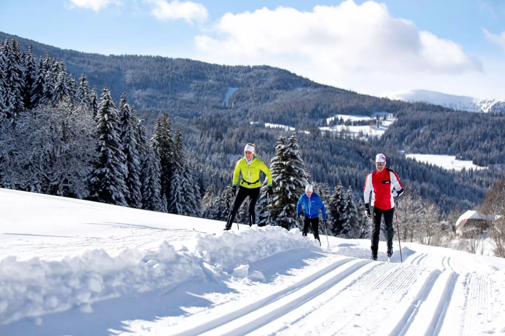 Alpenpark Turrach App 7-Gebied winter 5km