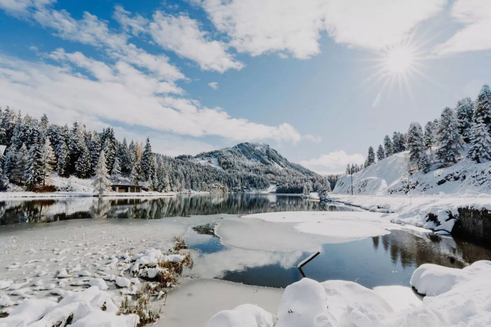 Alpenpark Turrach App 7-Gebied winter 5km