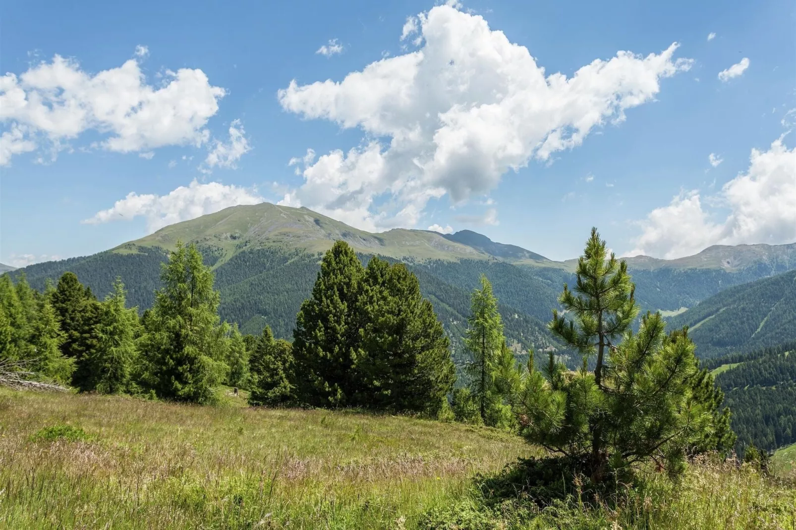 Alpenpark Turrach App 7-Gebieden zomer 20km