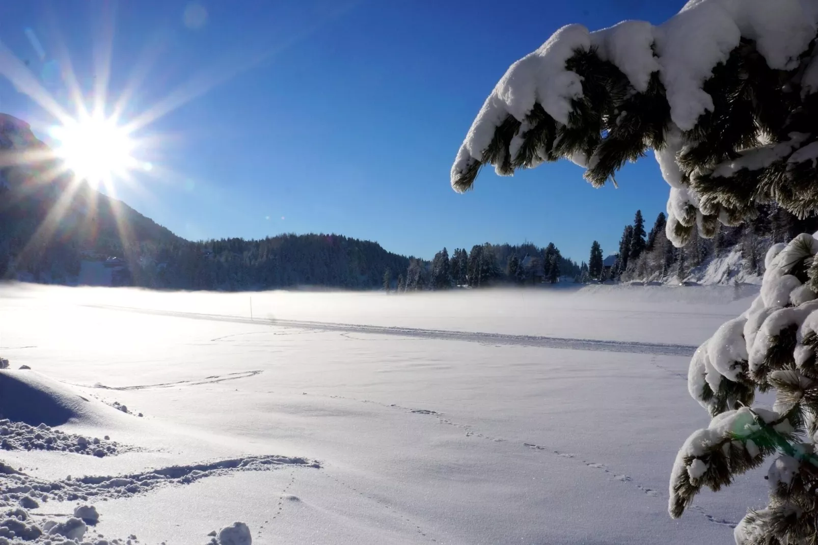 Alpenpark Turrach App 7-Gebied winter 20km