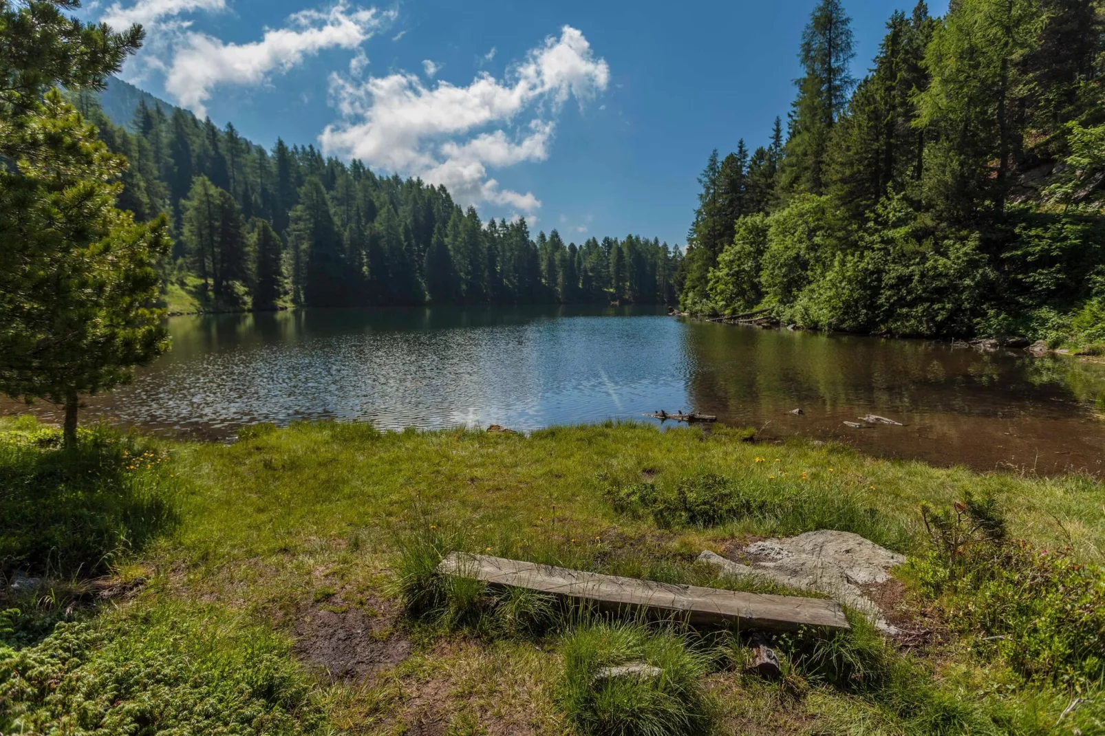 Alpenpark Turrach 4-Gebieden zomer 5km