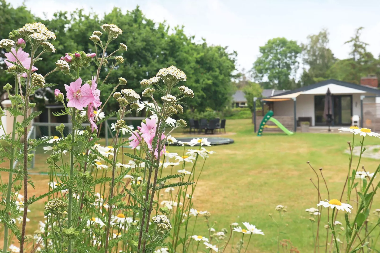5 persoons vakantie huis in Otterup-By Traum-Uitzicht