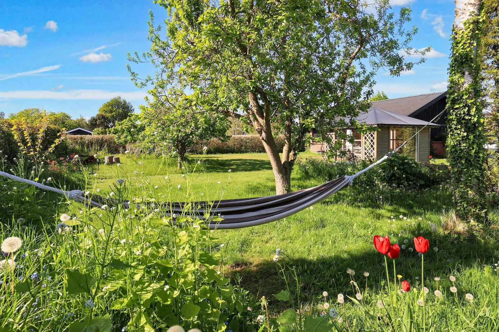 6 persoons vakantie huis in Rødvig Stevns-By Traum