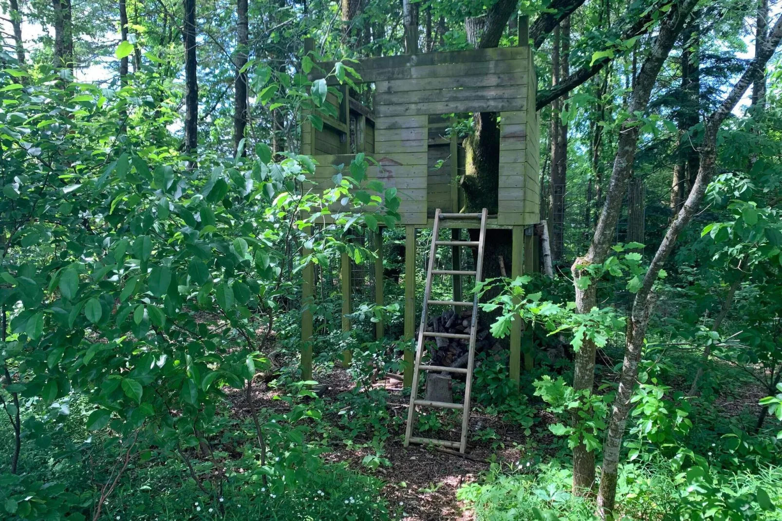 4 sterren vakantie huis in Ansager-By Traum-Uitzicht