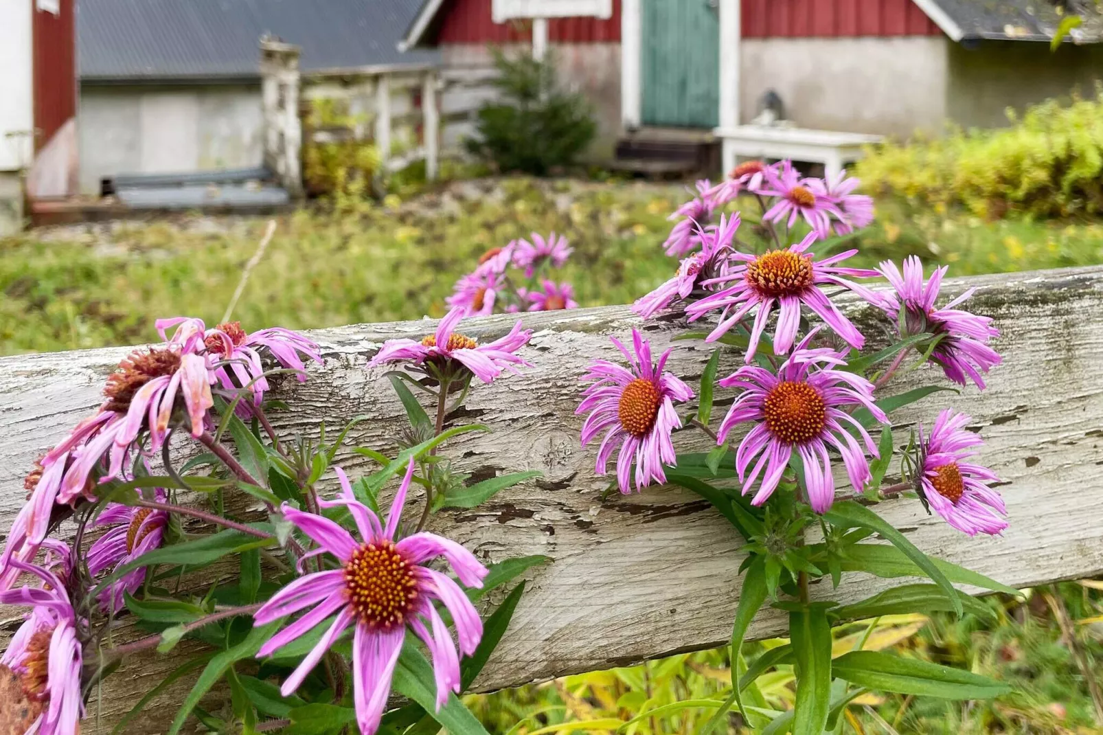 13 persoons vakantie huis in KYRKHULT-By Traum-Buitenlucht