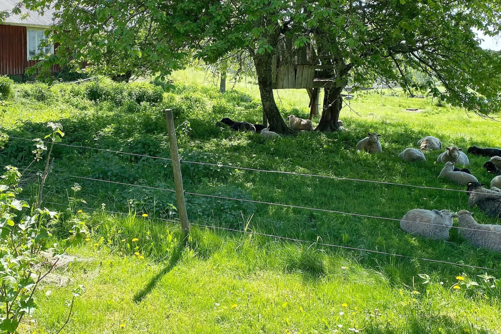 4 persoons vakantie huis in ANNEBY-By Traum