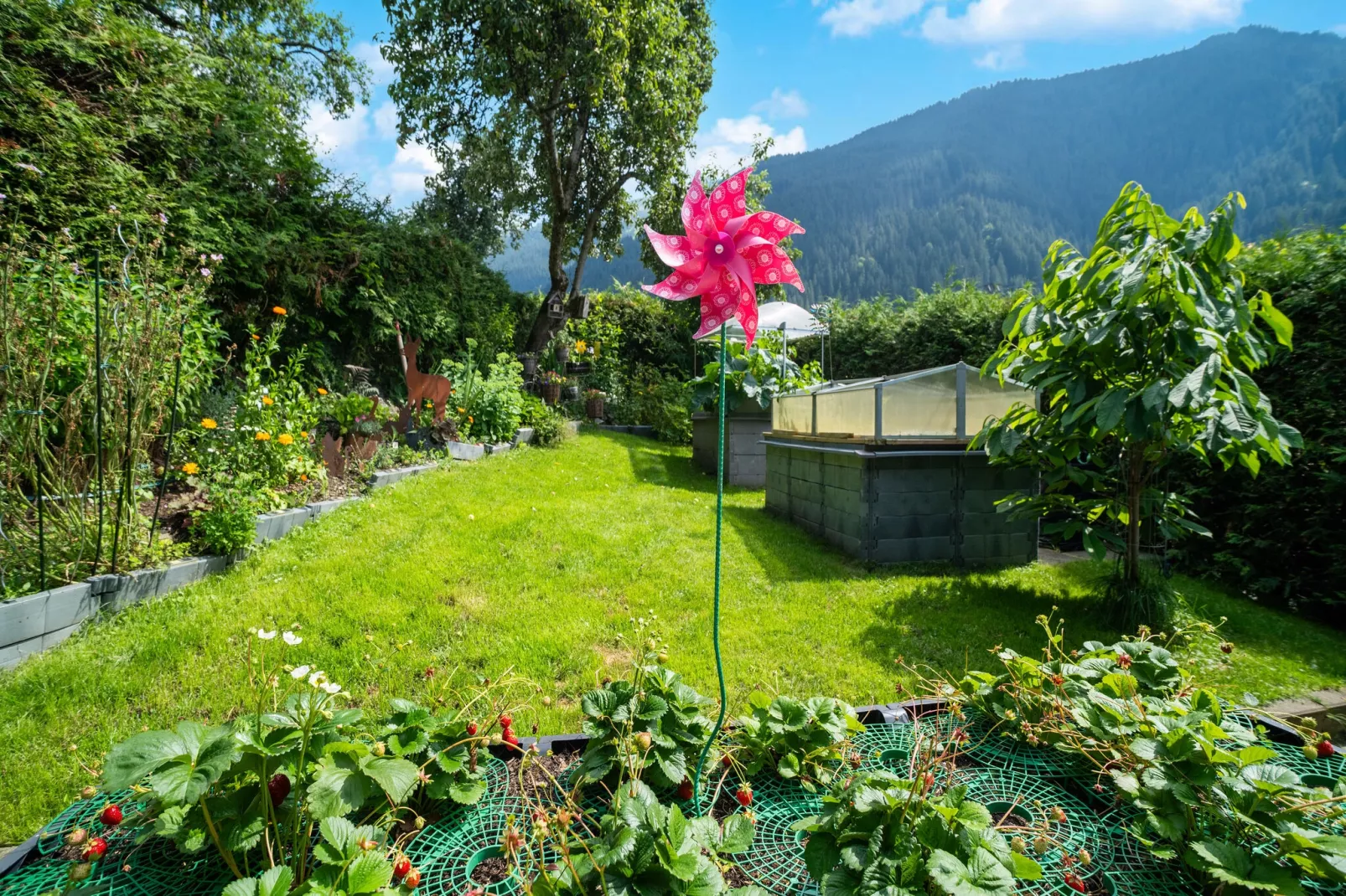 gardensummer