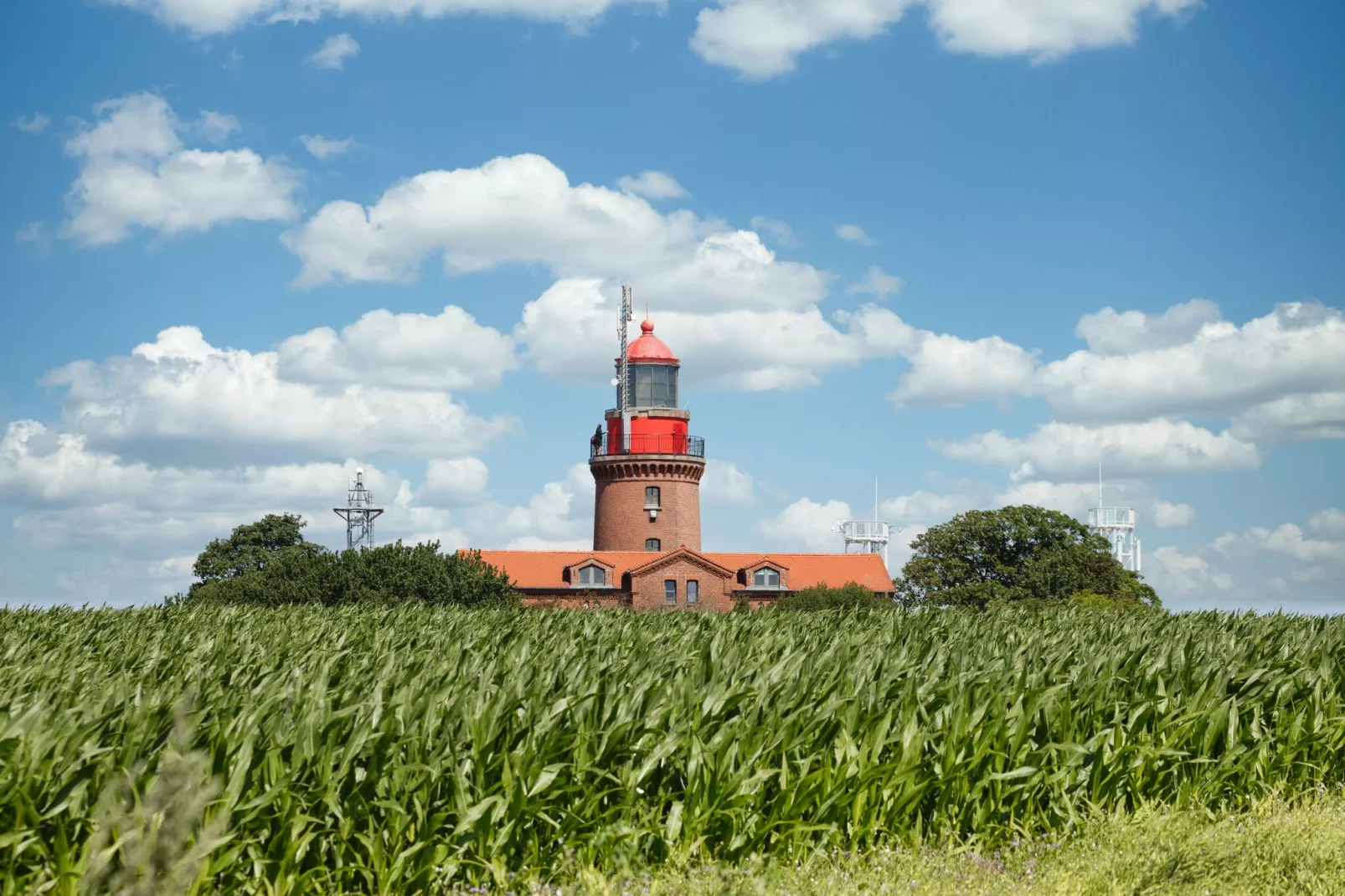 An den Wiesen-Gebieden zomer 1km