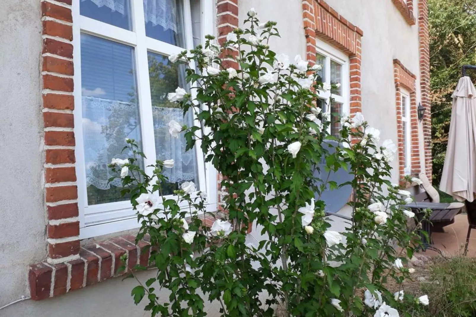 gardensummer