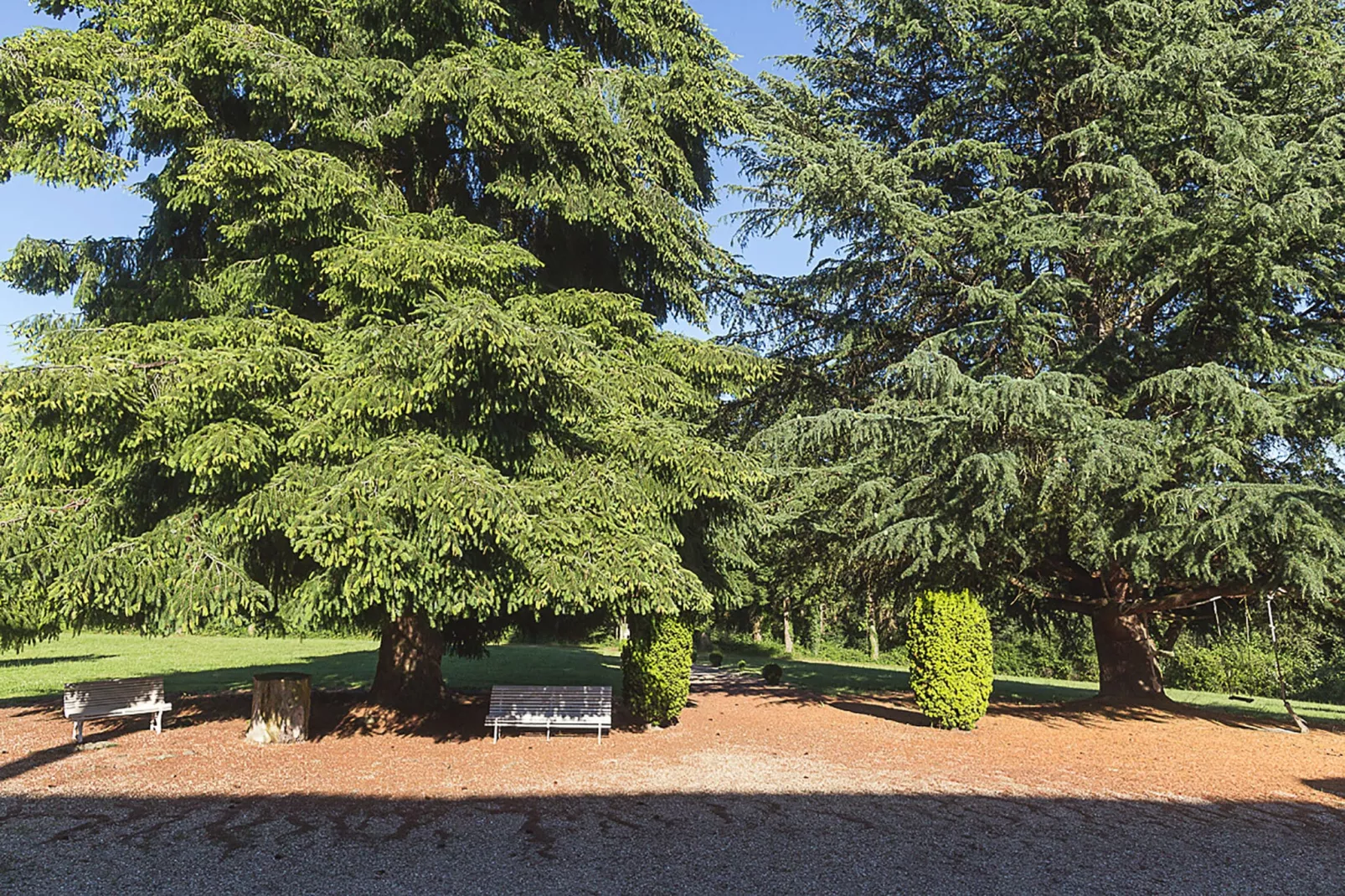 Manoir avec piscine privée-Tuinen zomer